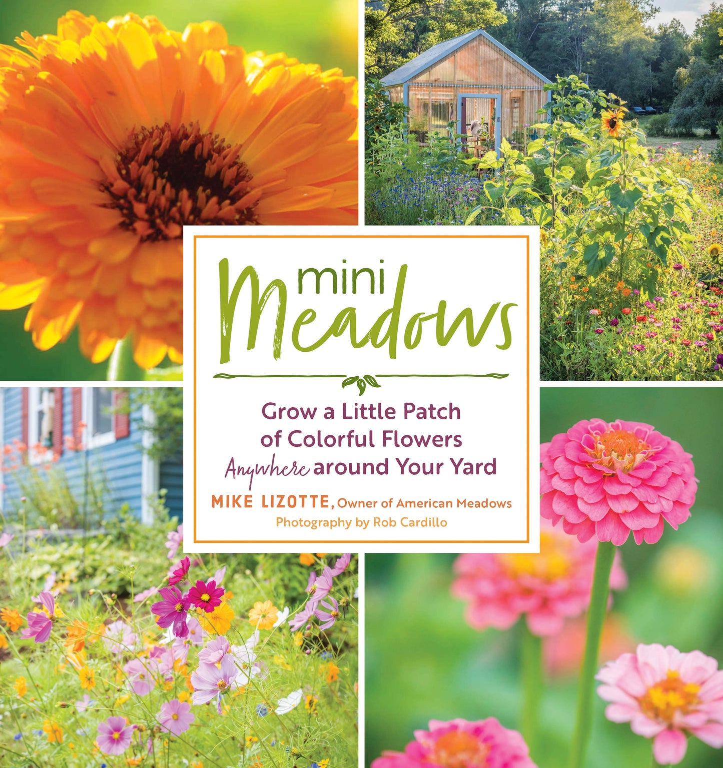 Mini Meadows: Grow a Little Patch of Colorful Flowers Anywhere Around Your Yard book cover