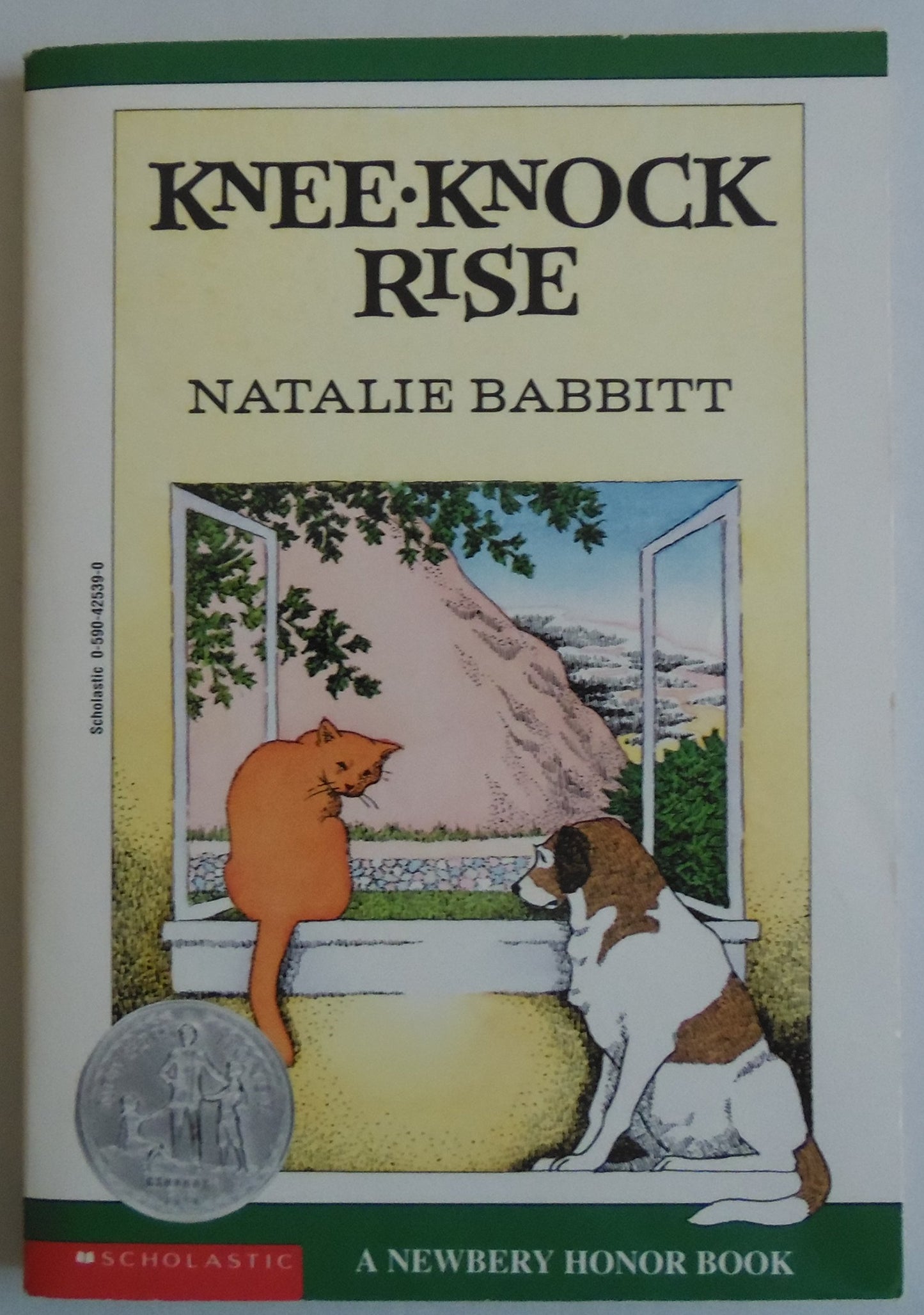 Kneeknock Rise book cover