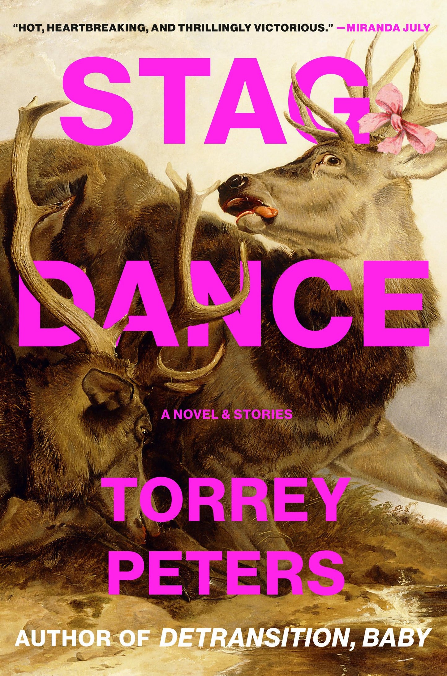 Stag Dance book cover