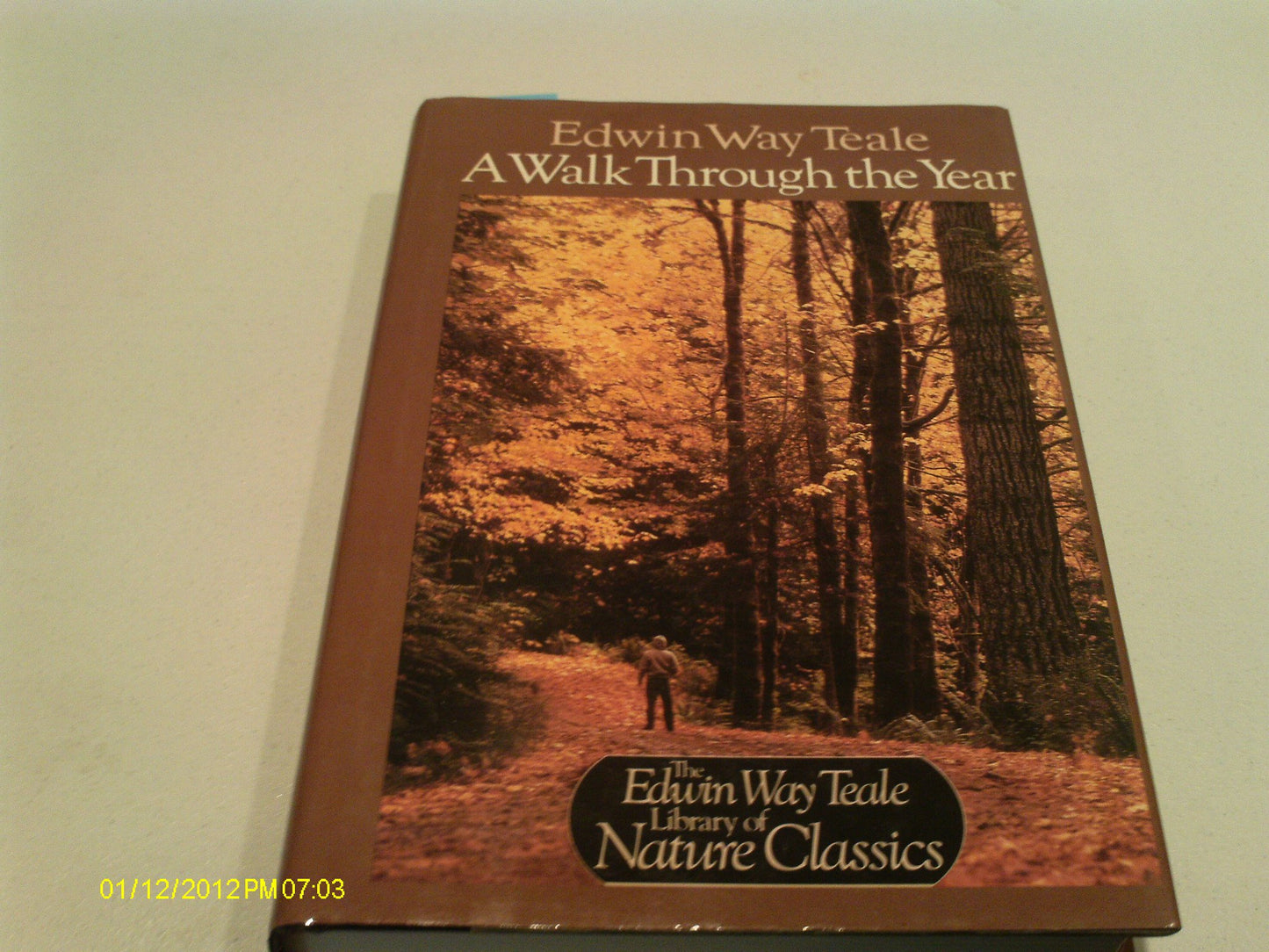 Walk Through the Year book cover