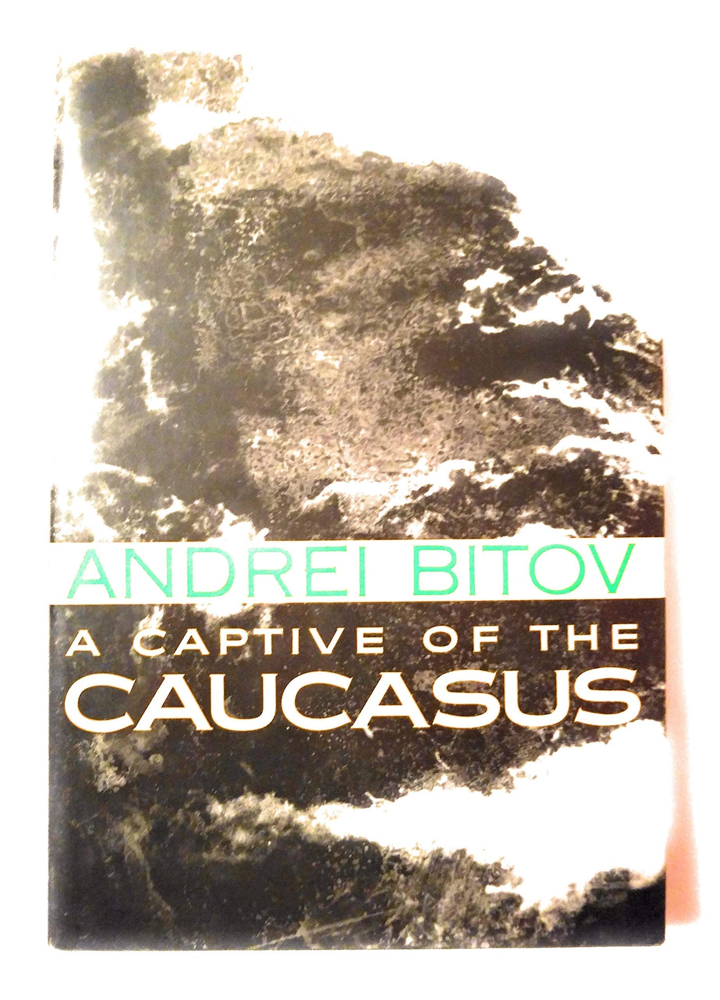 Captive of the Caucasus book cover