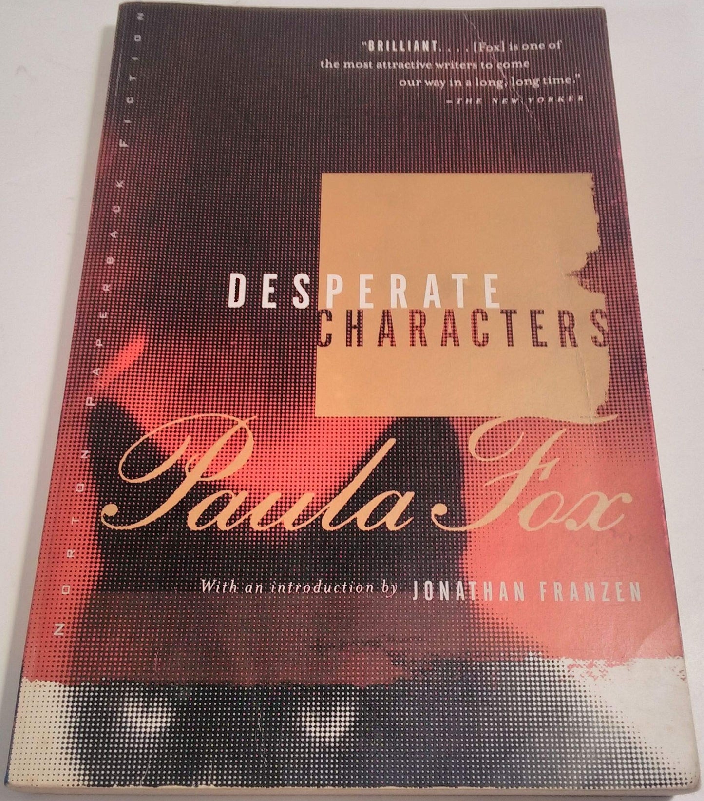 Desperate Characters: A Novel (Norton Paperback Fiction) book cover