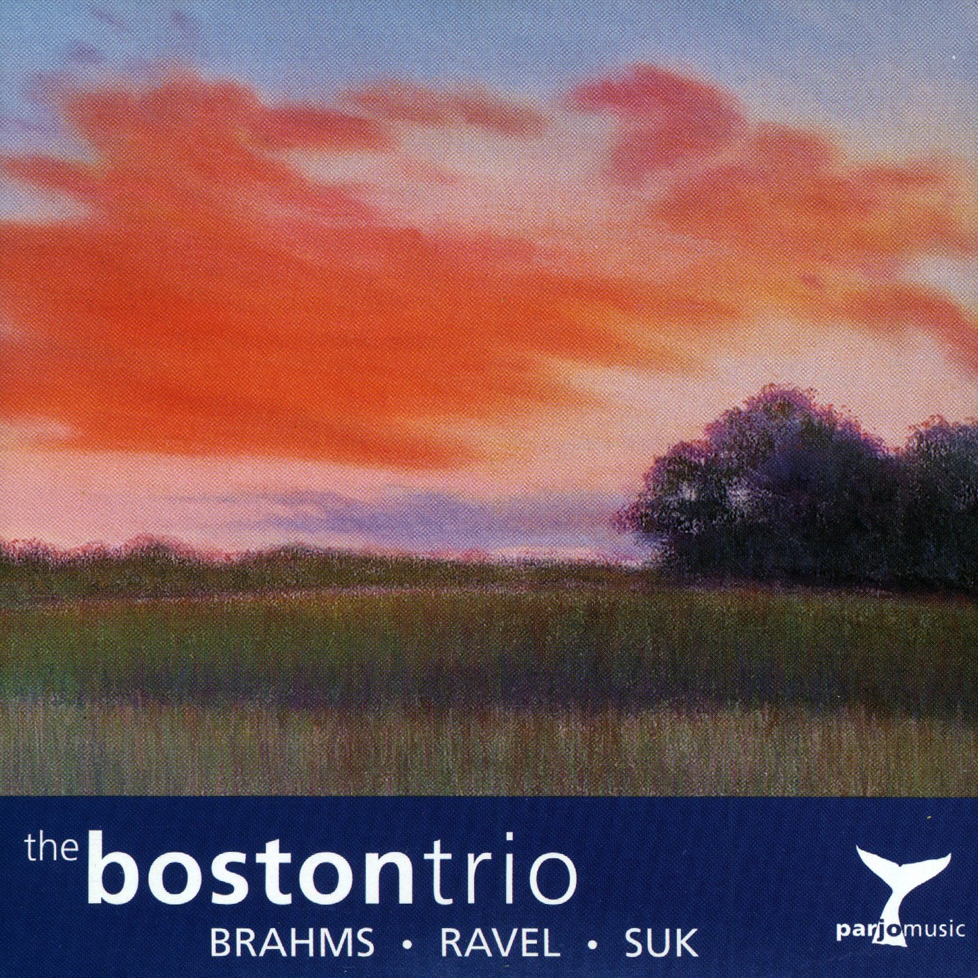 The Boston Trio: Brahms, Ravel, Suk book cover
