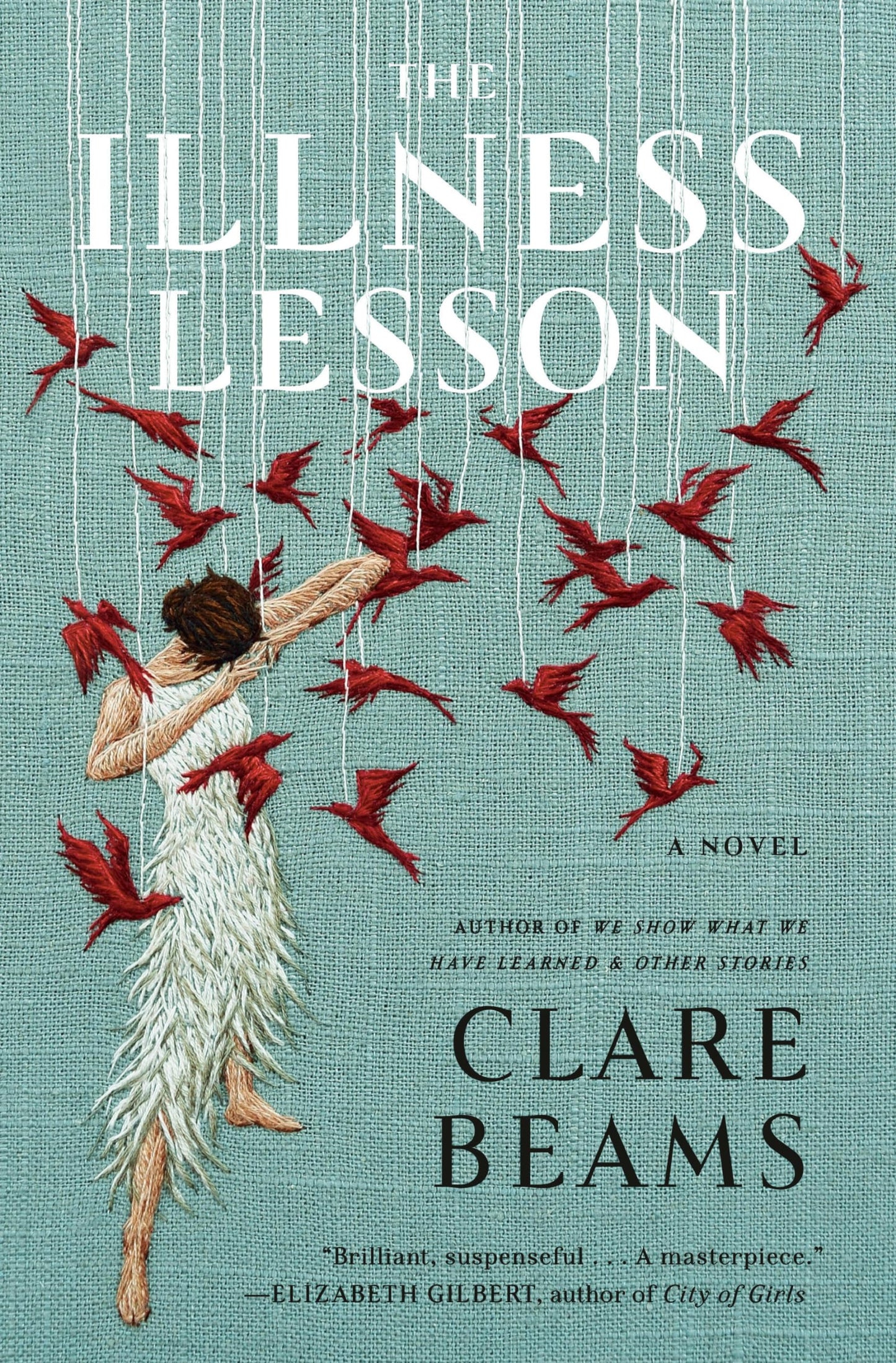 Illness Lesson book cover