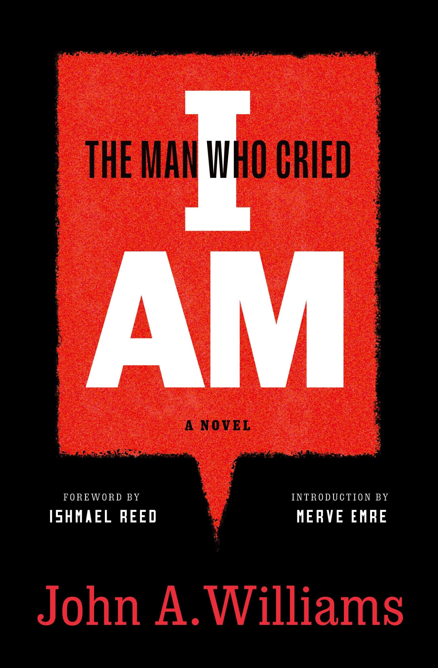 Man Who Cried I Am: A Novel book cover