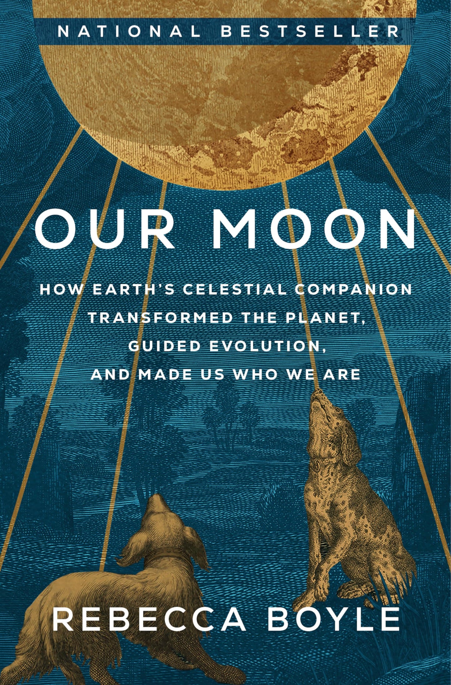 Our Moon: How Earth's Celestial Companion Transformed the Planet, Guided Evolution, and Made Us Who We Are book cover