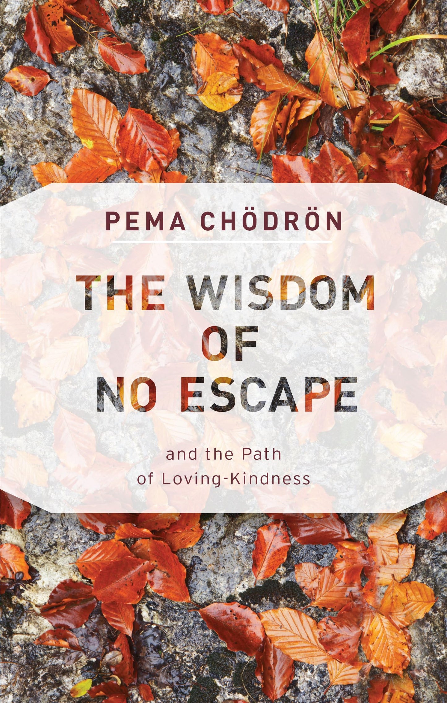 Wisdom of No Escape: And the Path of Loving-Kindness book cover
