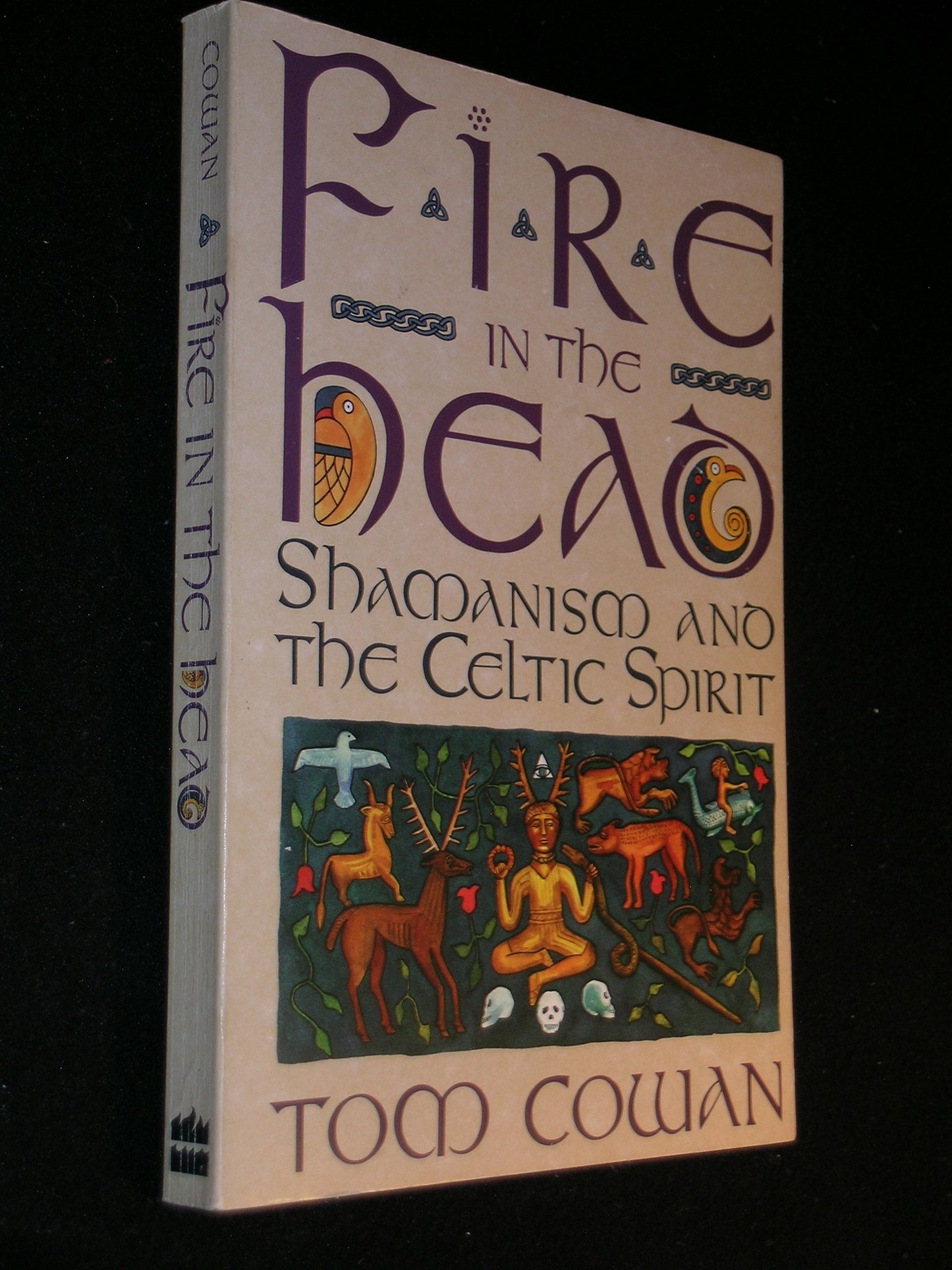 Fire in the Head: Shamanism and the Celtic Spirit book cover