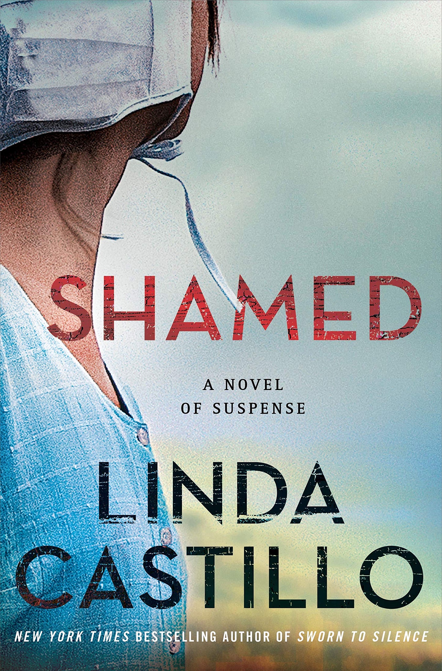 Shamed: A Novel of Suspense book cover