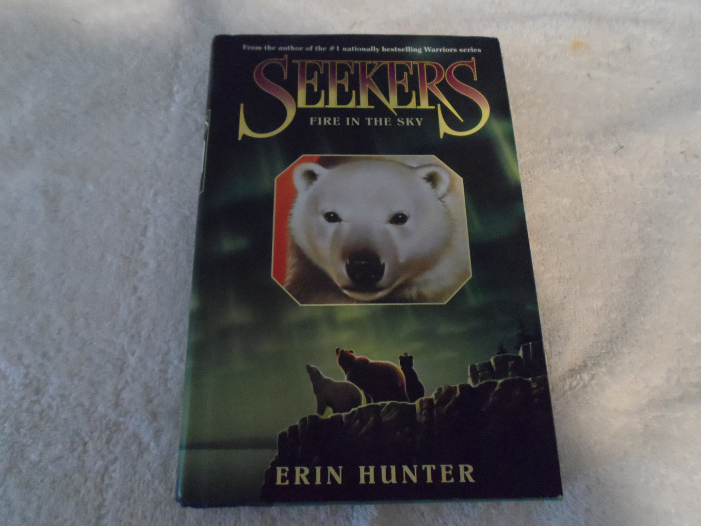 Seekers #5: Fire in the Sky book cover