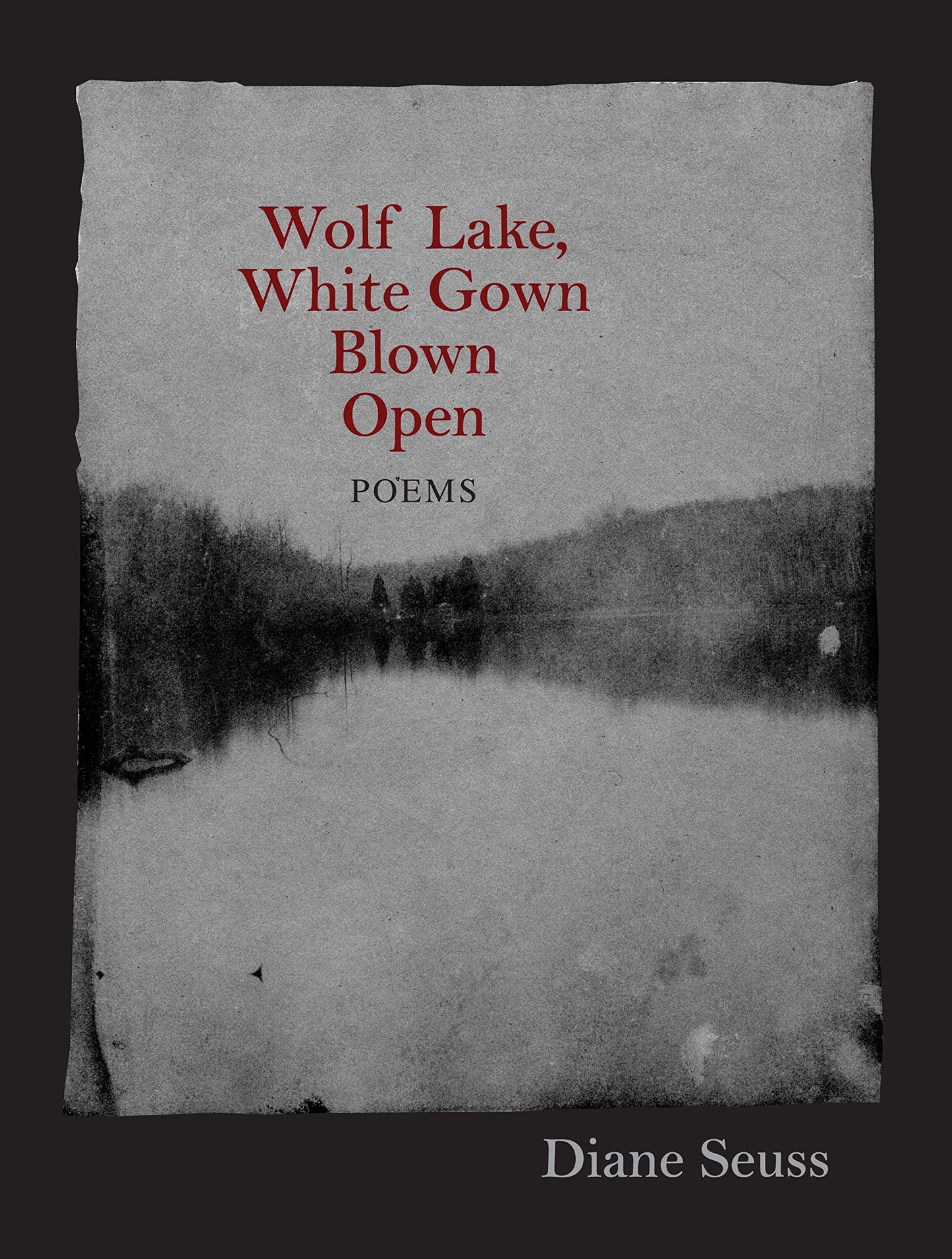 Wolf Lake, White Gown Blown Open book cover