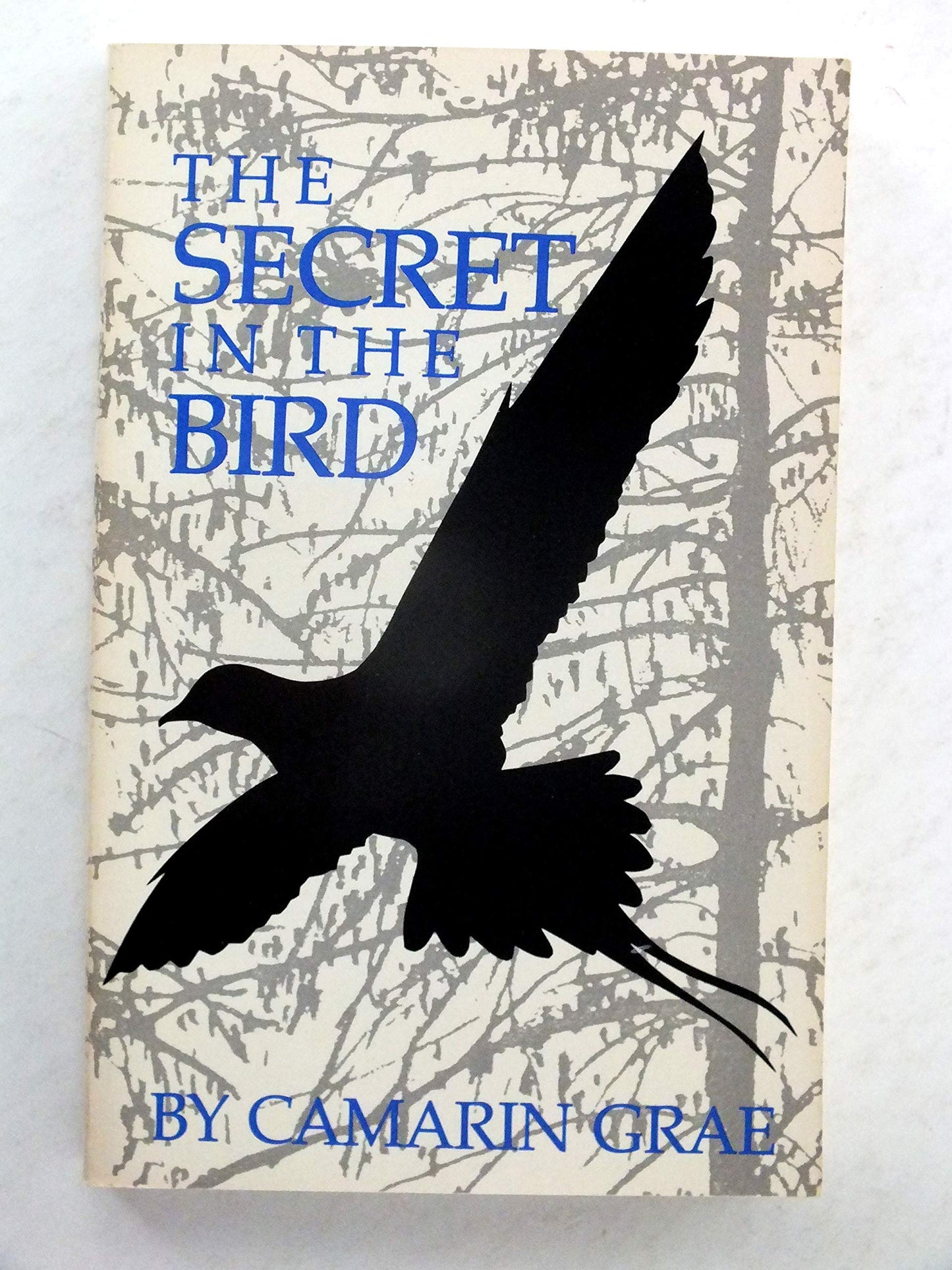 Secret in the Bird book cover