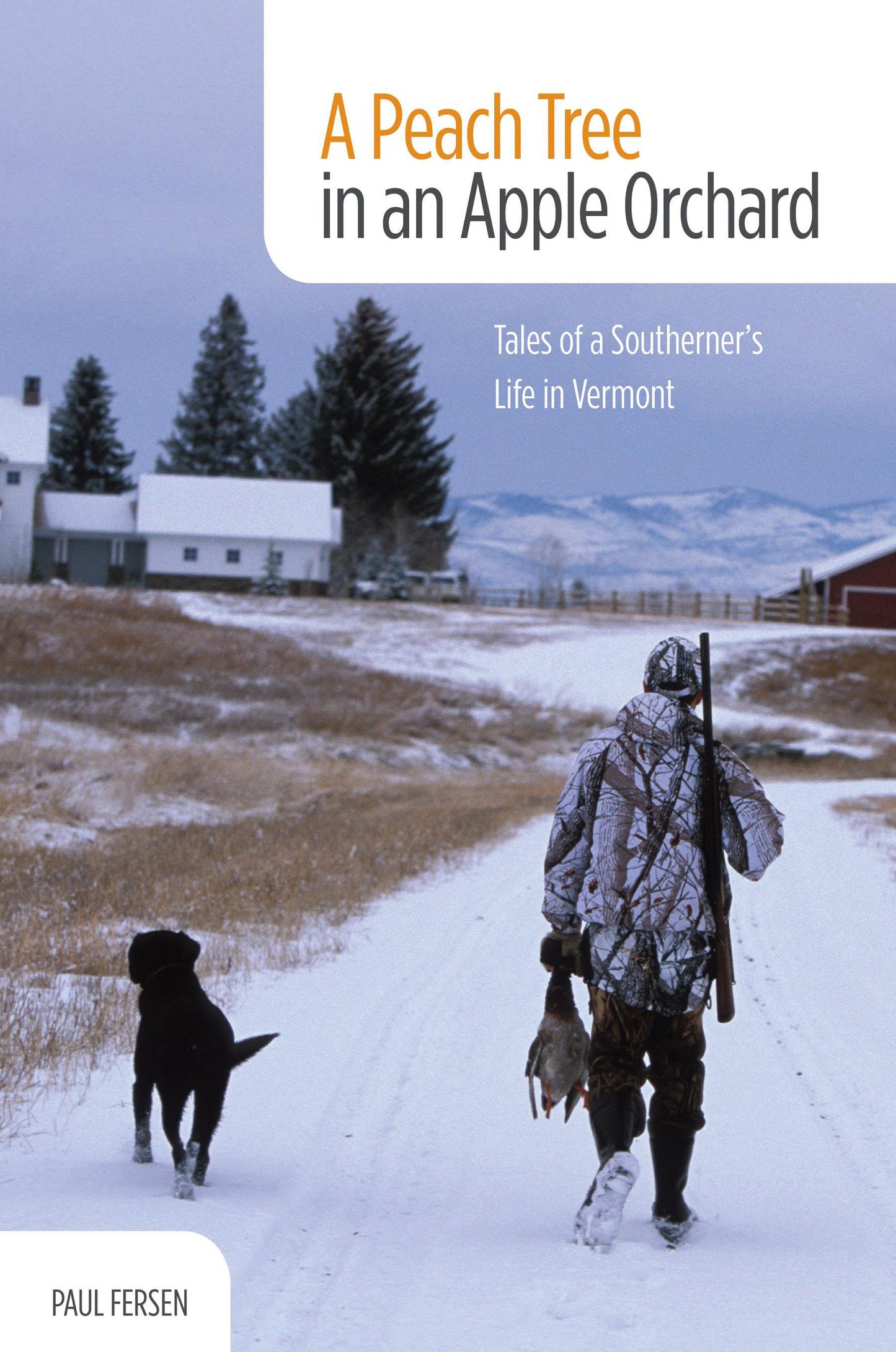 Peach Tree in an Apple Orchard: Tales of a Southerner's Life in Vermont book cover