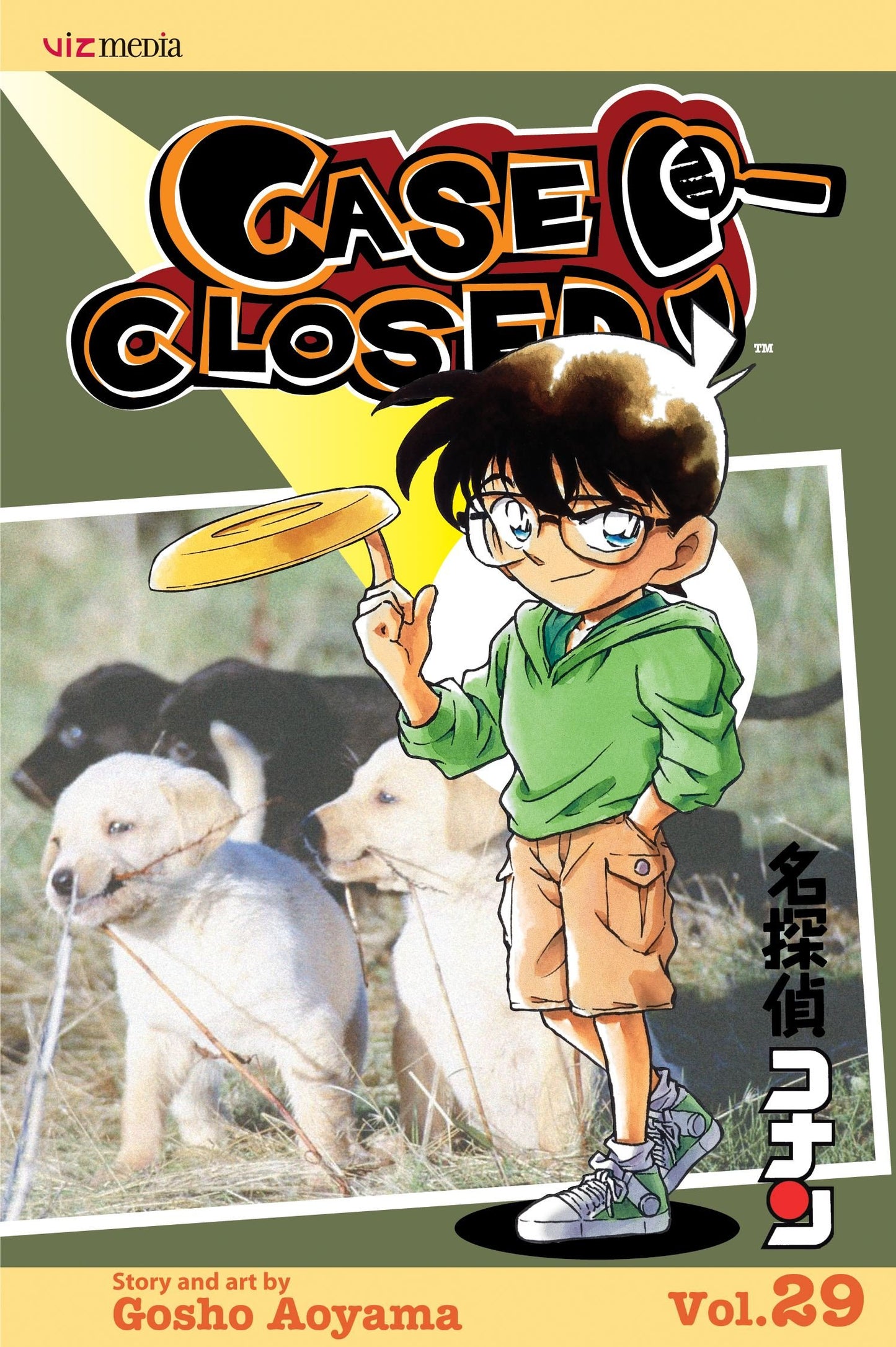 Case Closed, Vol. 29 book cover