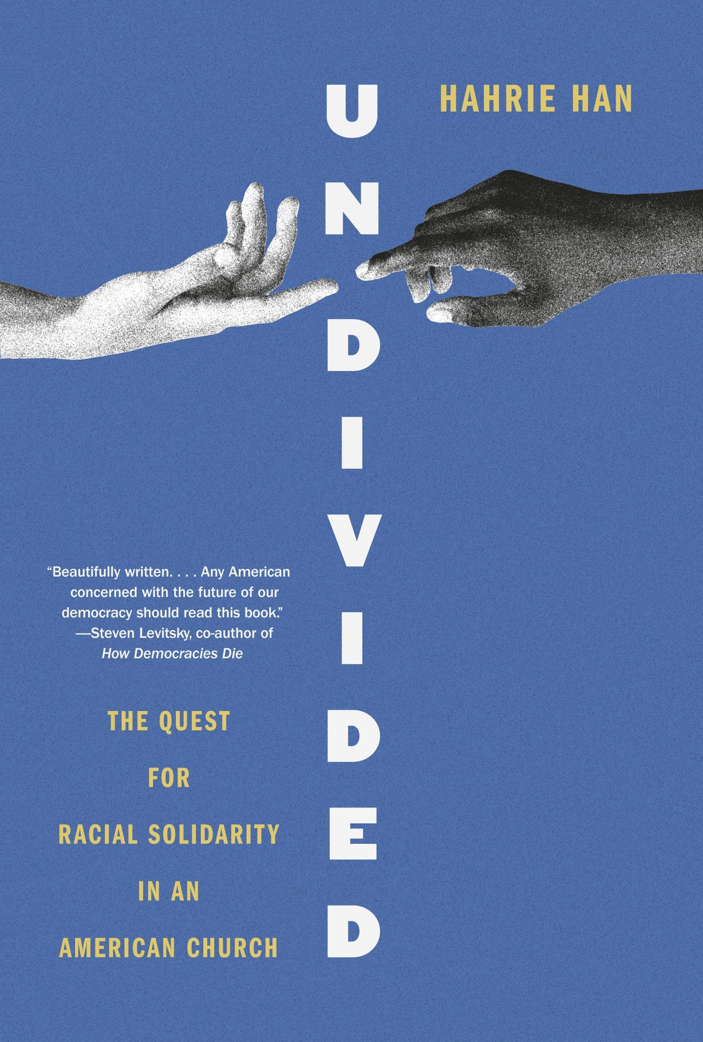 Undivided: The Quest for Racial Solidarity in an American Church book cover
