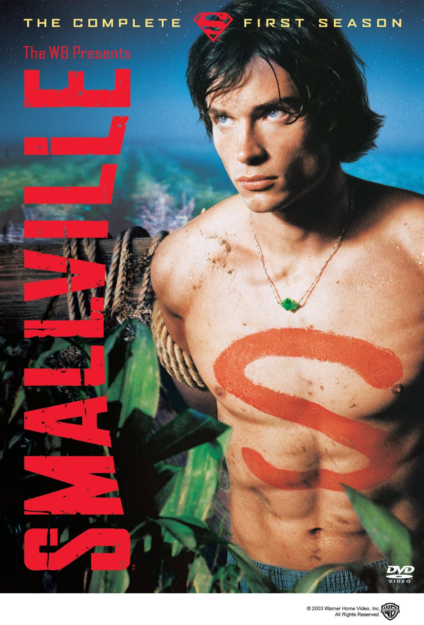 Smallville: The Complete First Season book cover