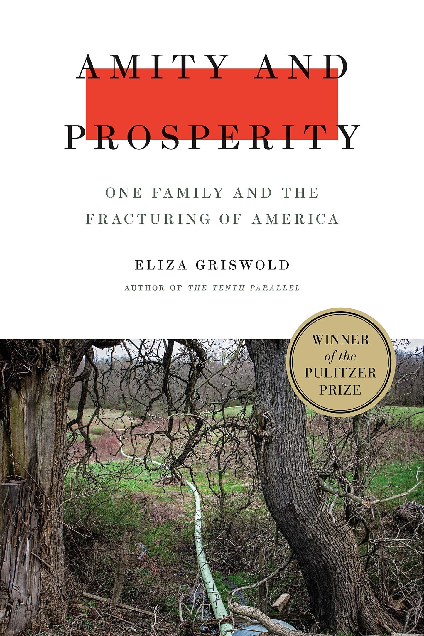 Amity and Prosperity: One Family and the Fracturing of America book cover