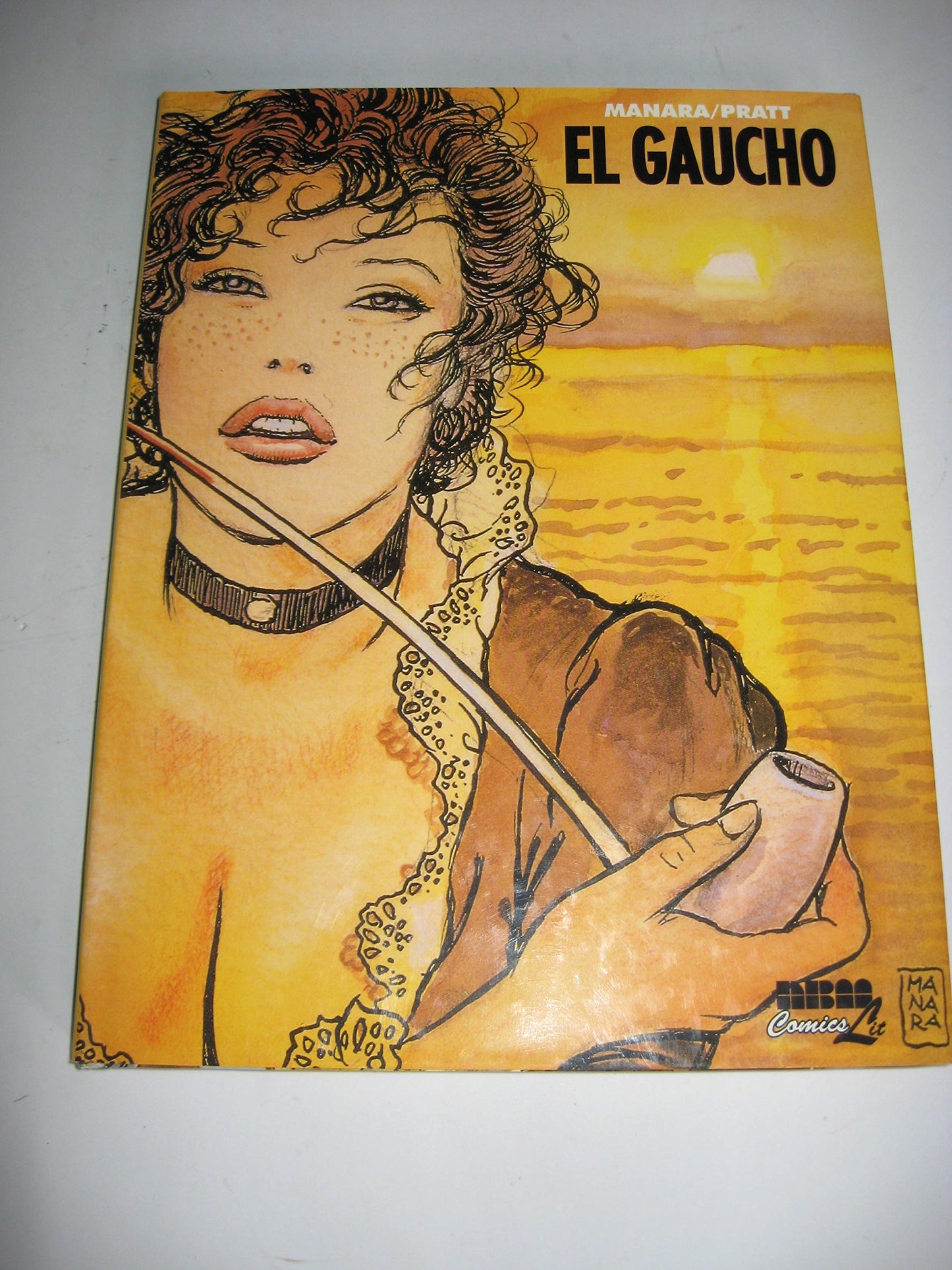 El Gaucho book cover