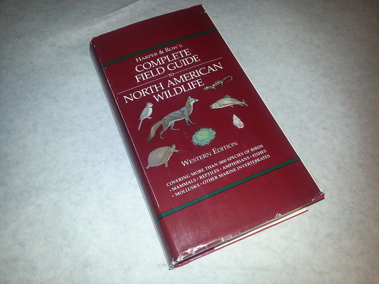 Complete Field Guide to North American Wildlife Western Ed. book cover