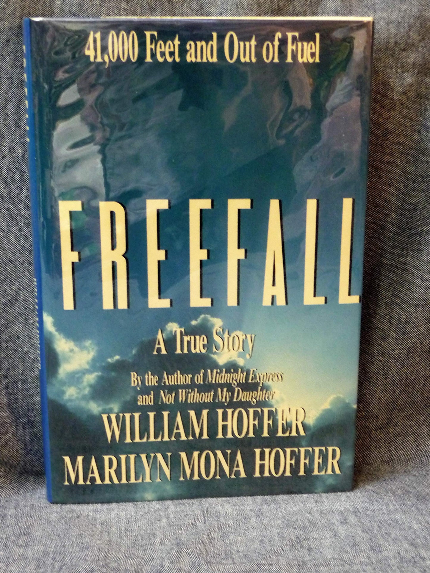 Freefall: A True Story book cover
