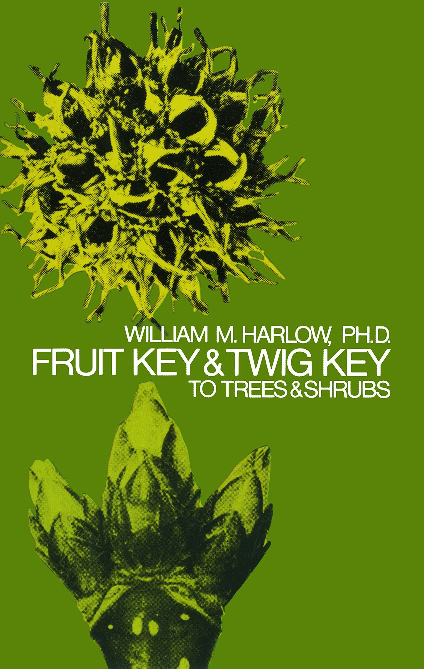 Fruit Key and Twig Key to Trees and Shrubs book cover
