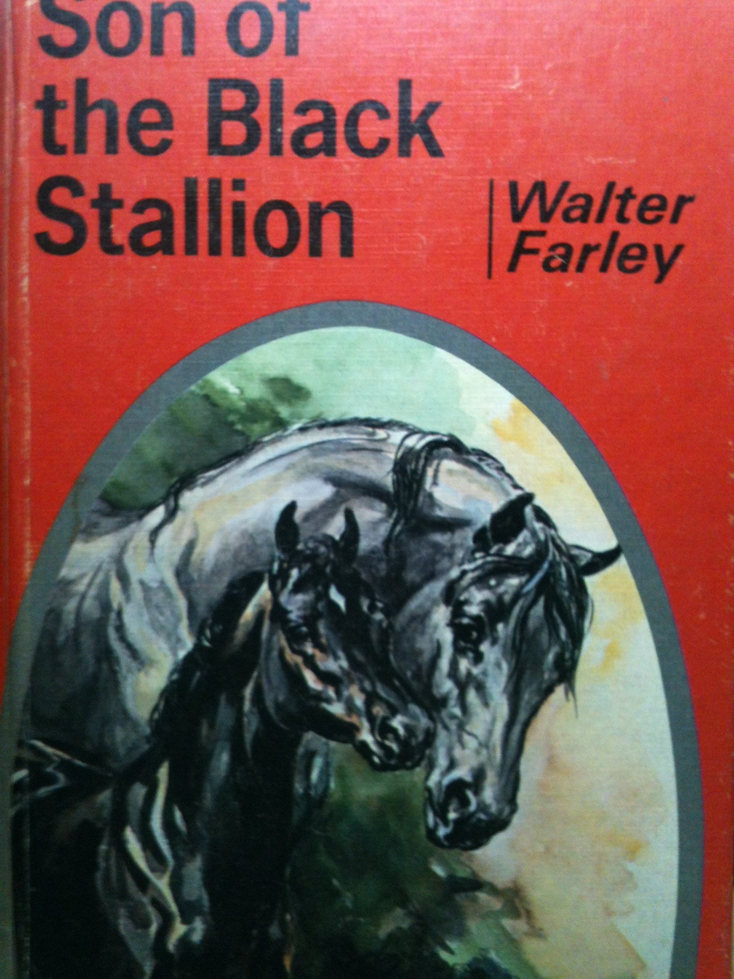 Son of the Black Stallion book cover