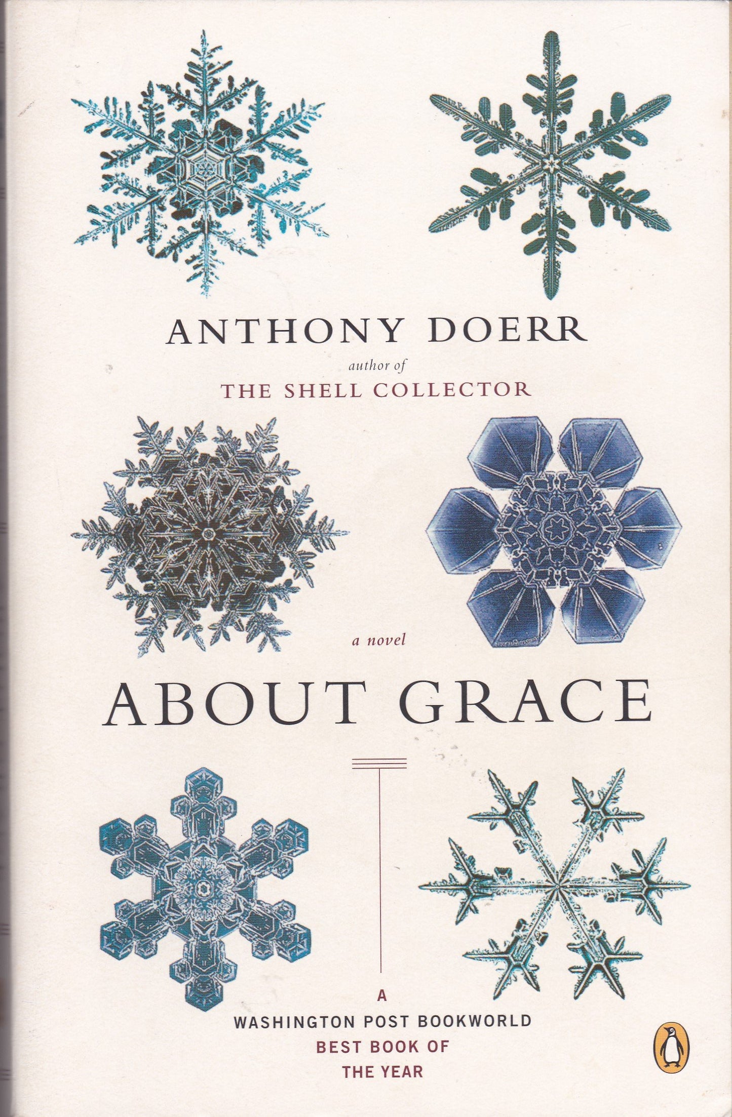 About Grace book cover