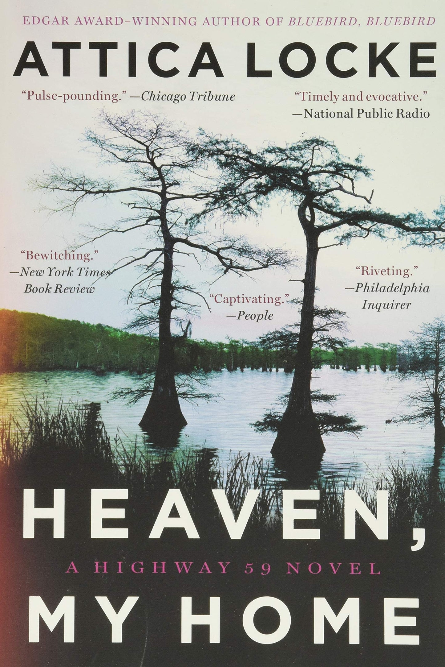 Heaven, My Home book cover