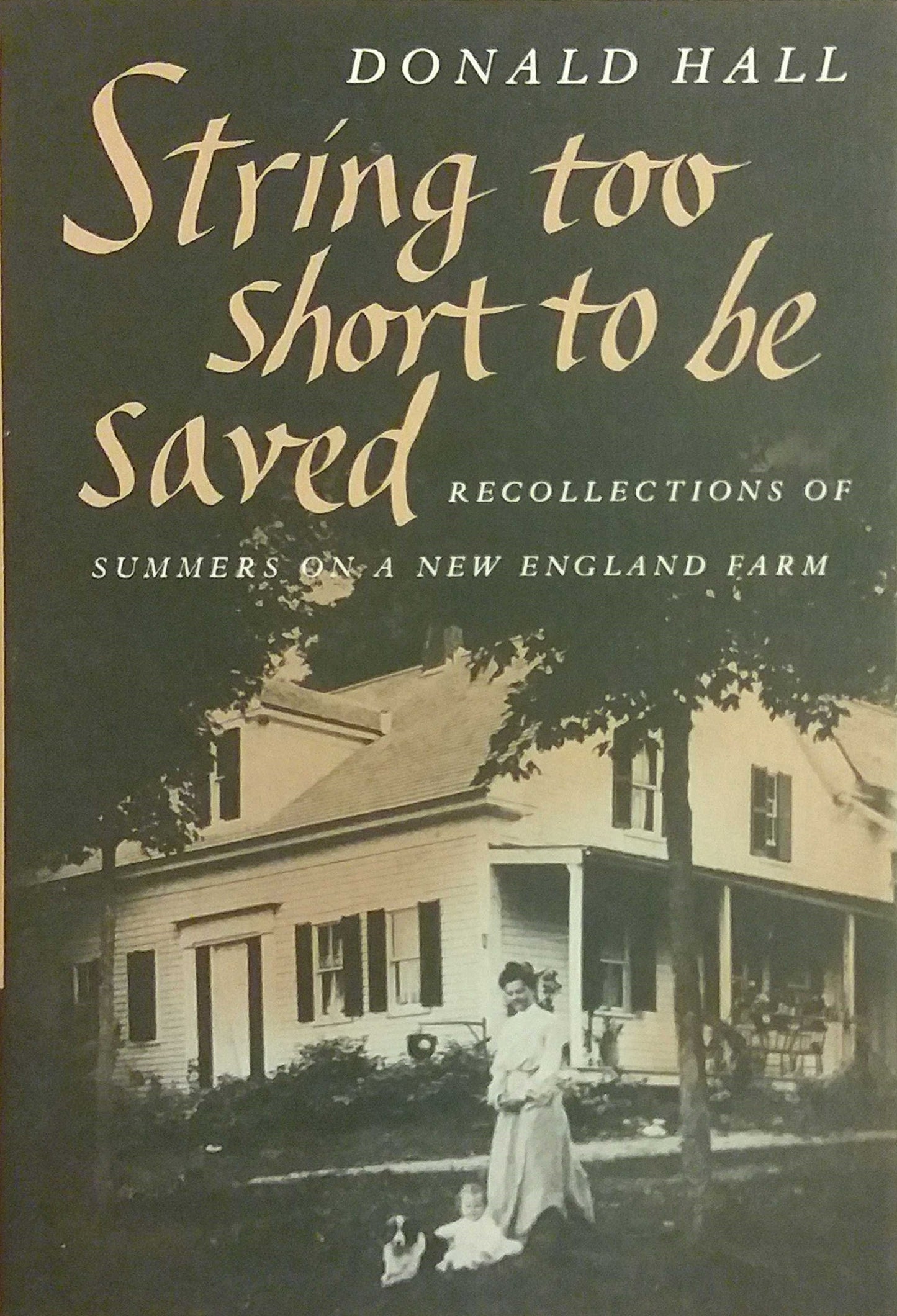 String Too Short to Be Saved book cover