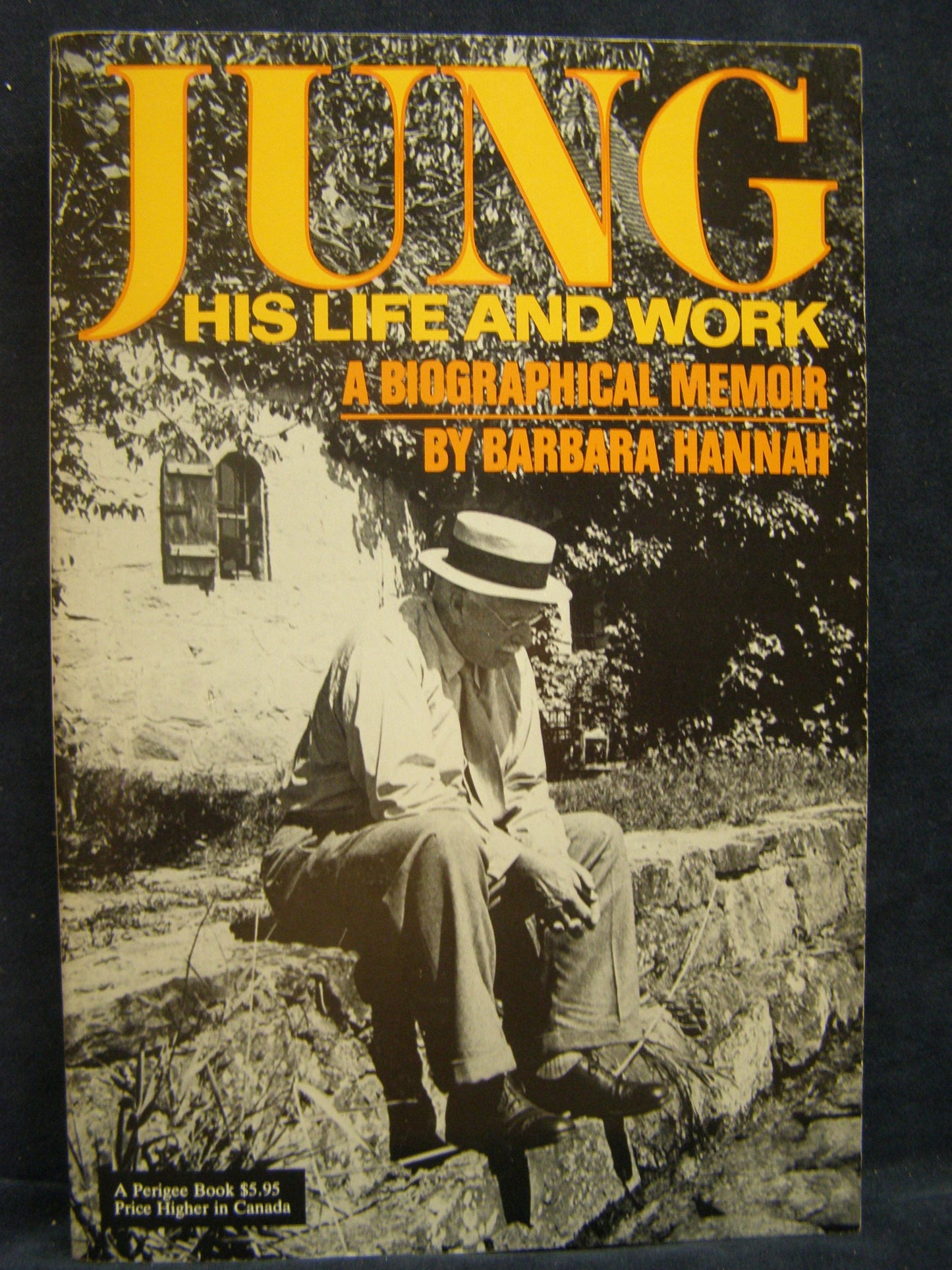 Jung Life and Work