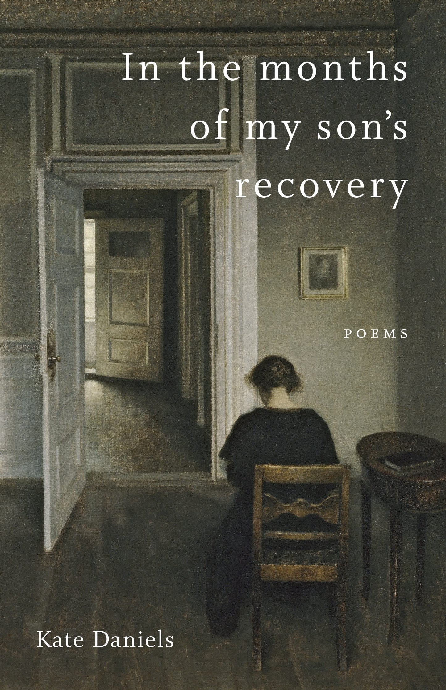 In the Months of My Son's Recovery: Poems book cover
