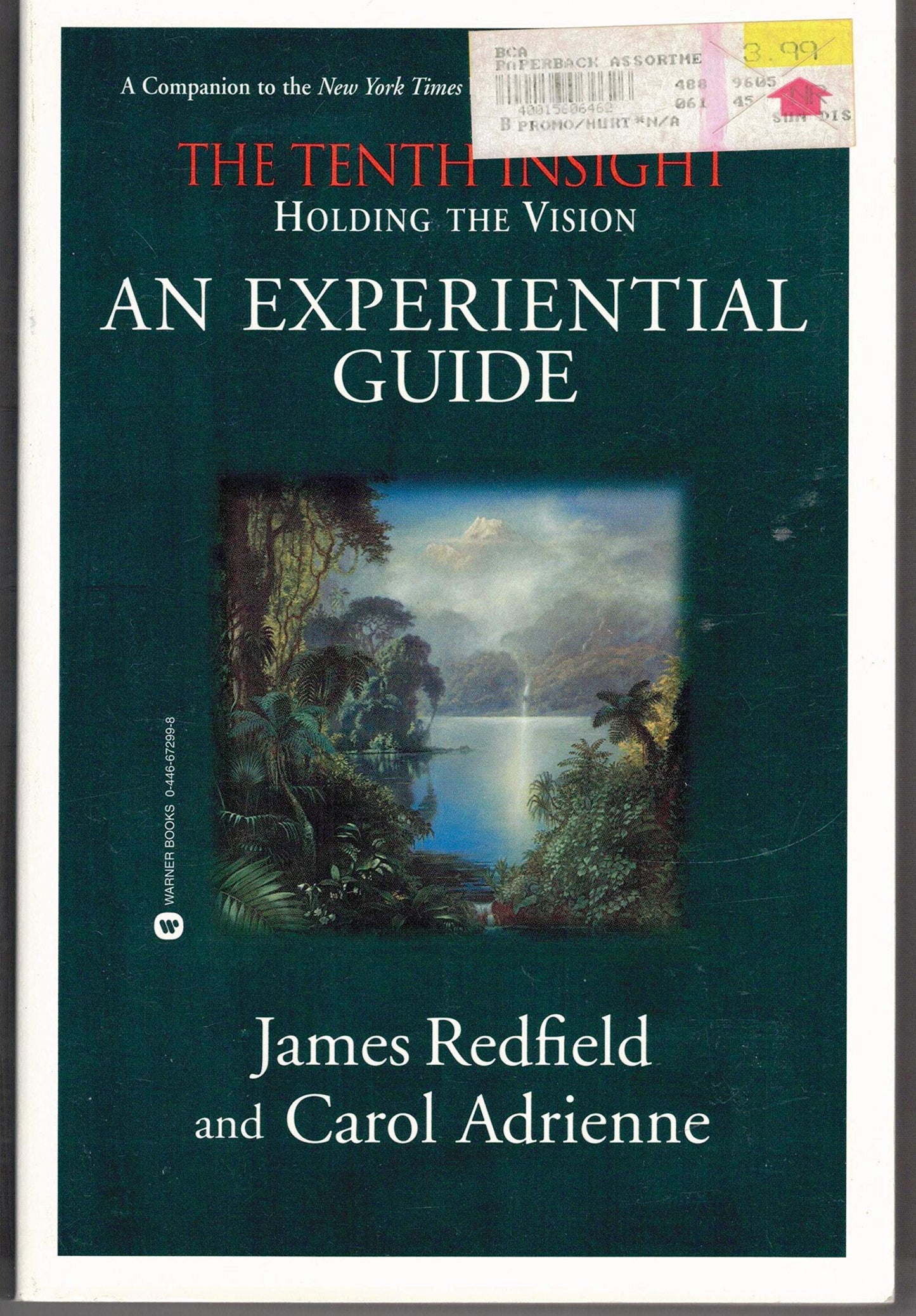 Holding the Vision: An Experiential Guide book cover