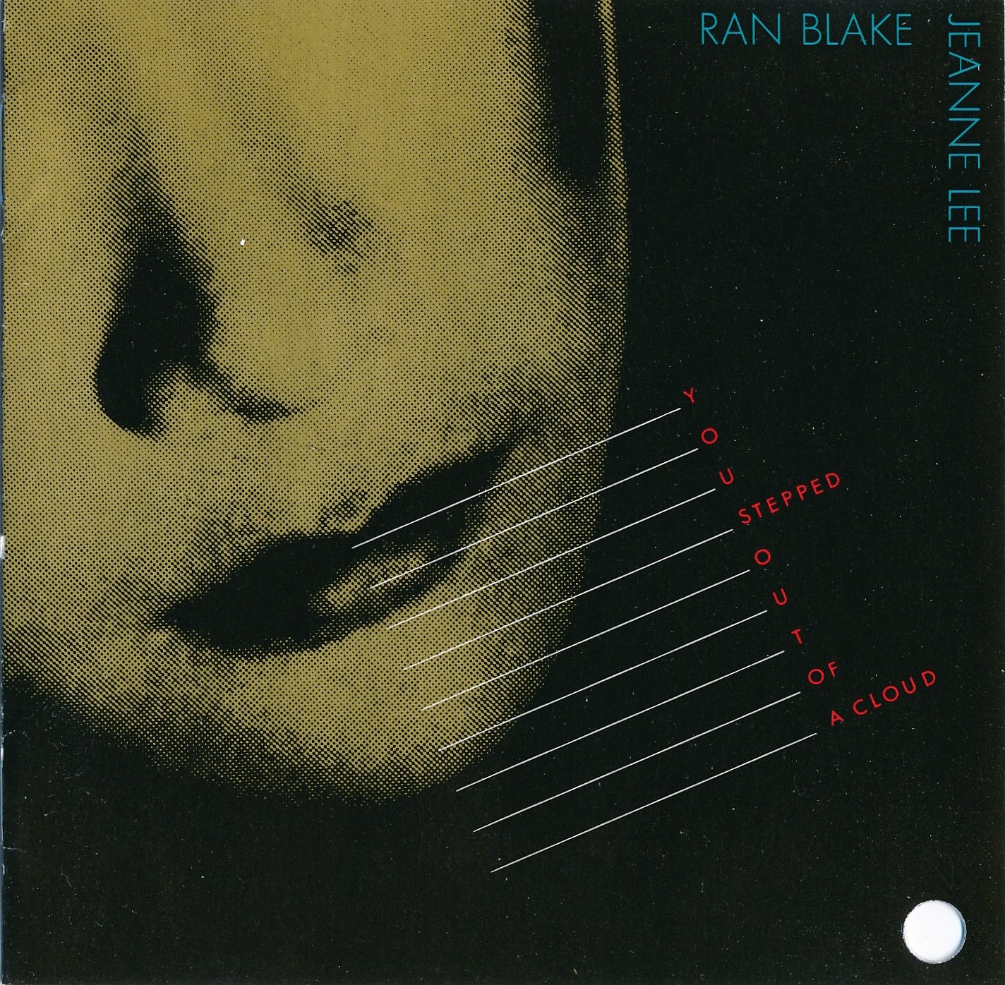 You Stepped Out of a Cloud book cover