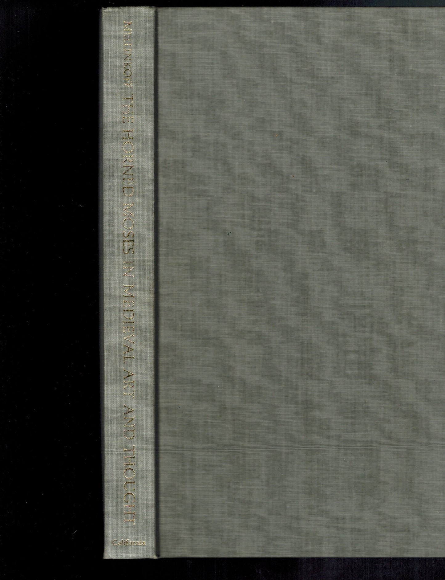 Horned Moses in Medieval Art and Thought book cover