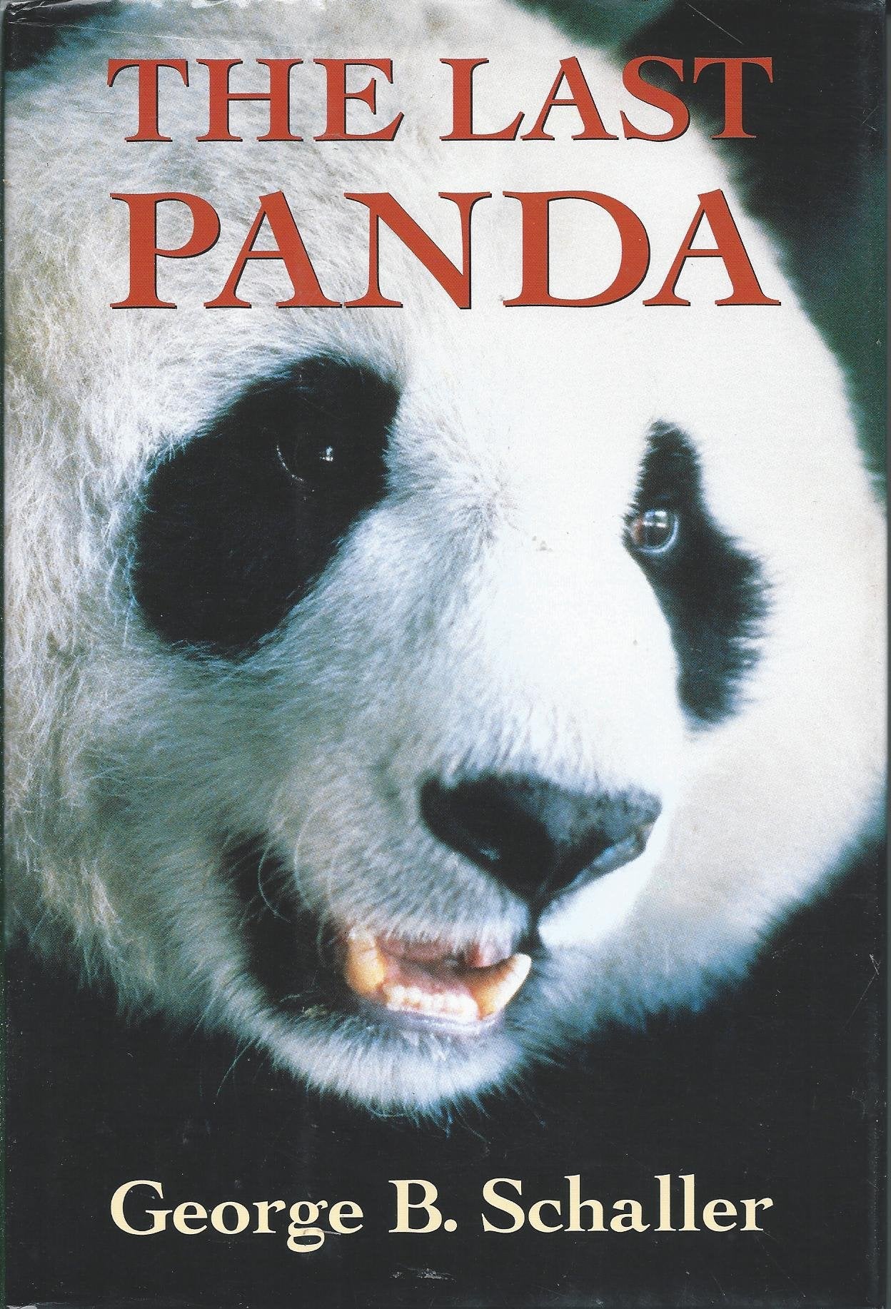 Last Panda