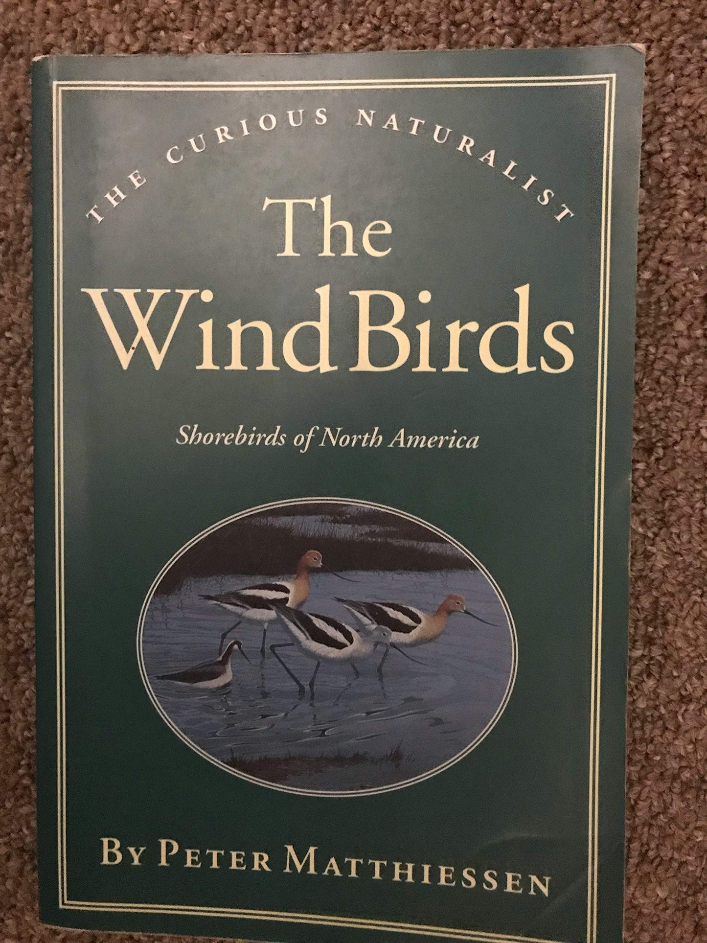 Wind Birds book cover