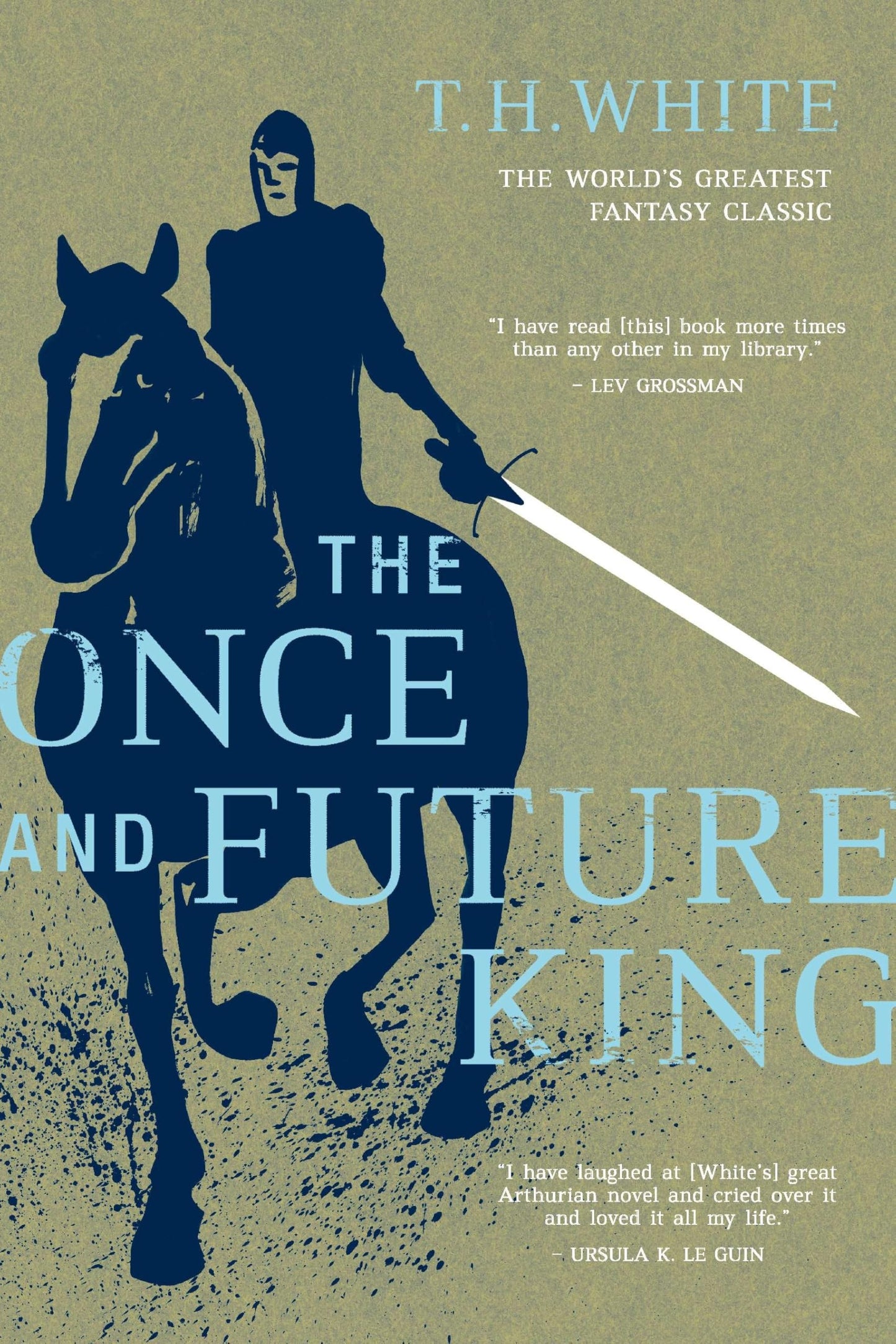 Once and Future King book cover