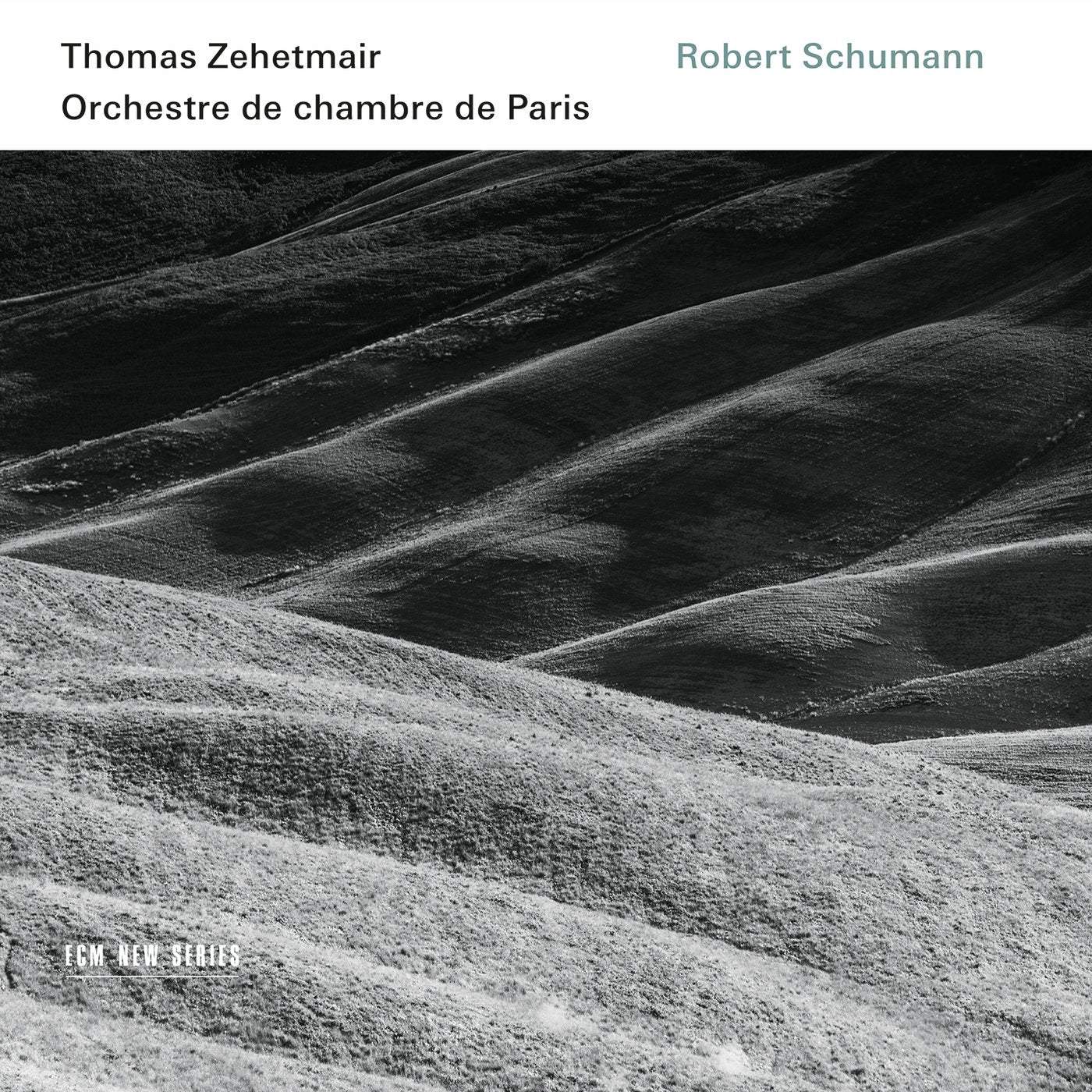 Robert Schumann book cover