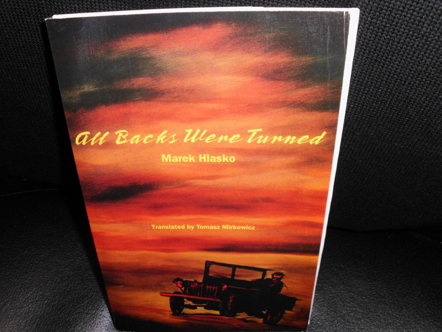 All Backs Were Turned book cover