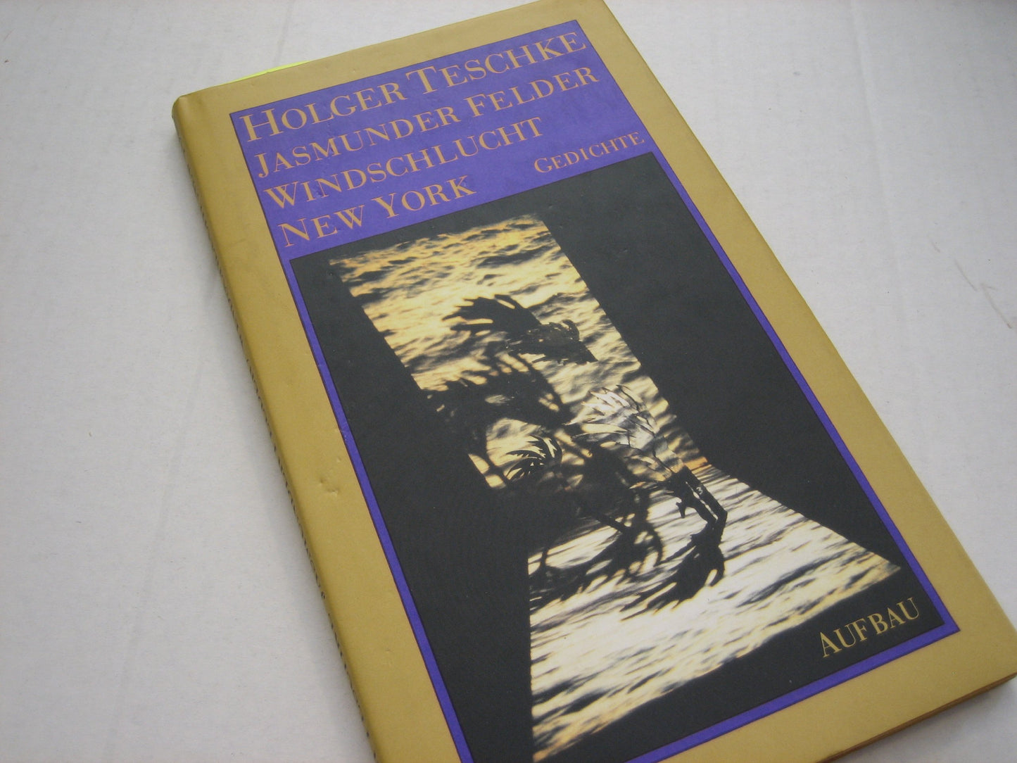 Jasmunder Felder, Windschlucht New York: Gedichte (German Edition) book cover
