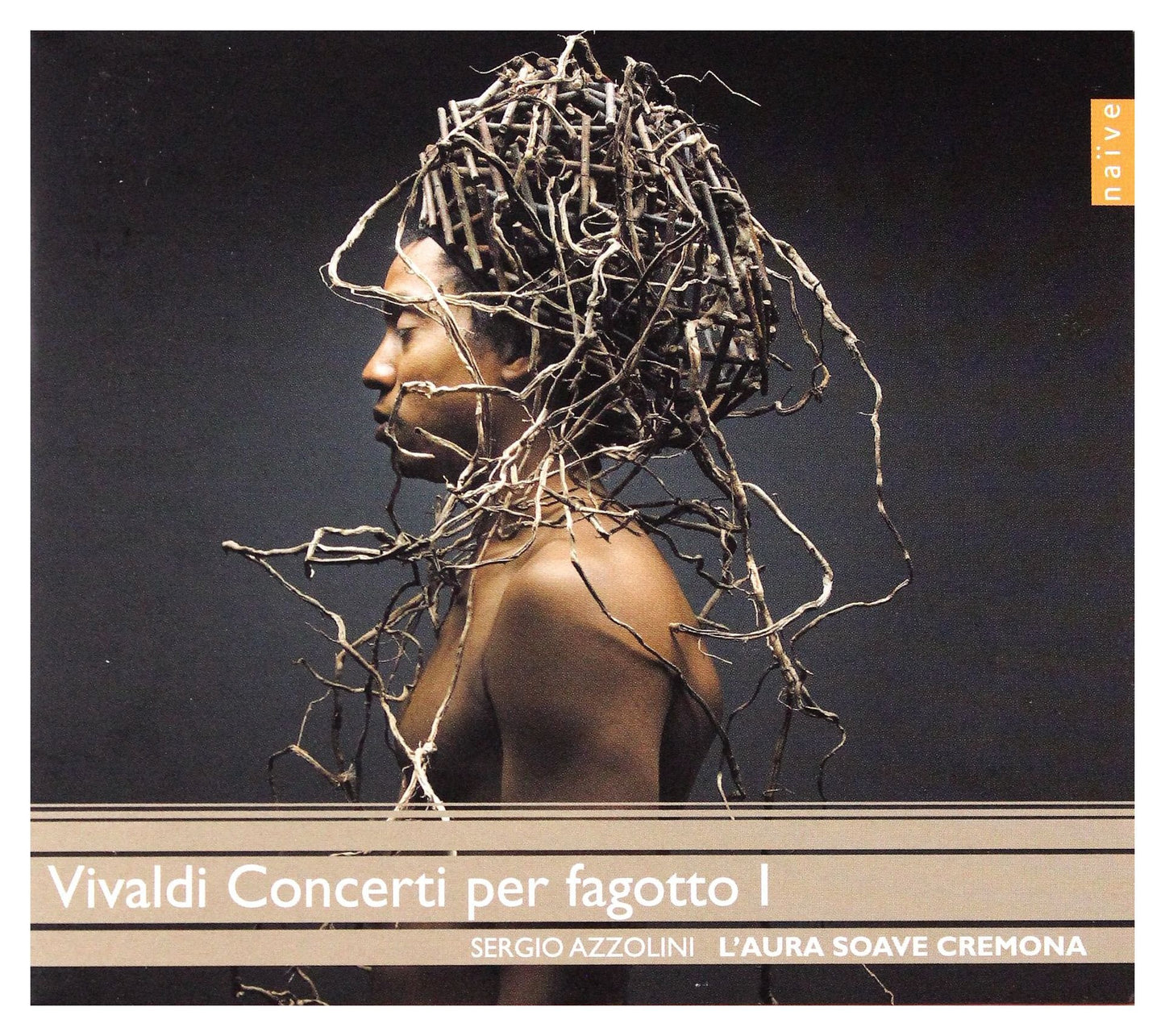 Concerti Per Fagotto I book cover