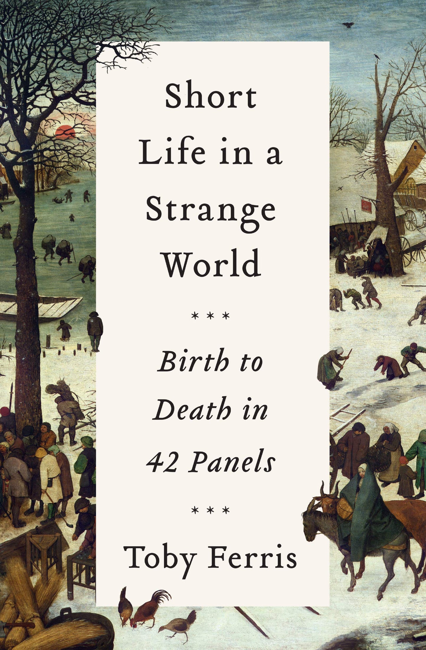 Short Life in a Strange World: Birth to Death in 42 Panels book cover