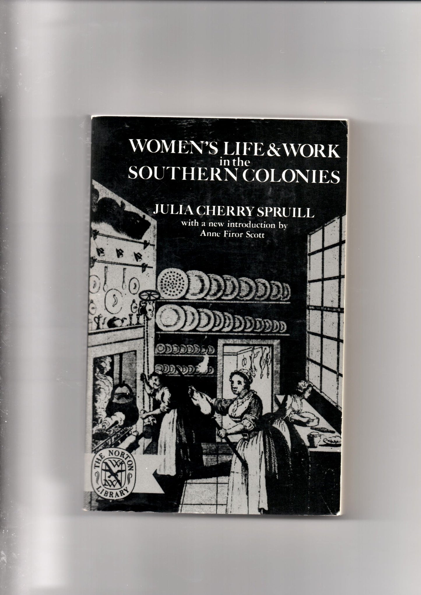 Women's Life and Work in the Southern Colonies book cover