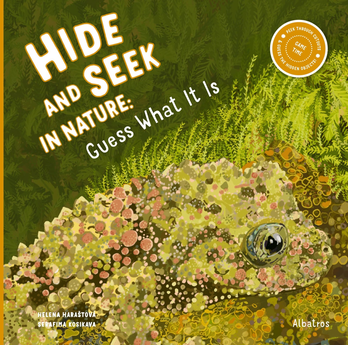 Hide and Seek in Nature book cover