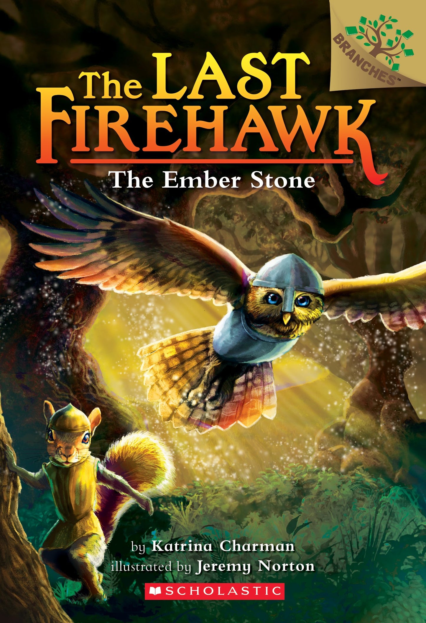 The Ember Stone: A Branches Book (The Last Firehawk #1) (1) book cover