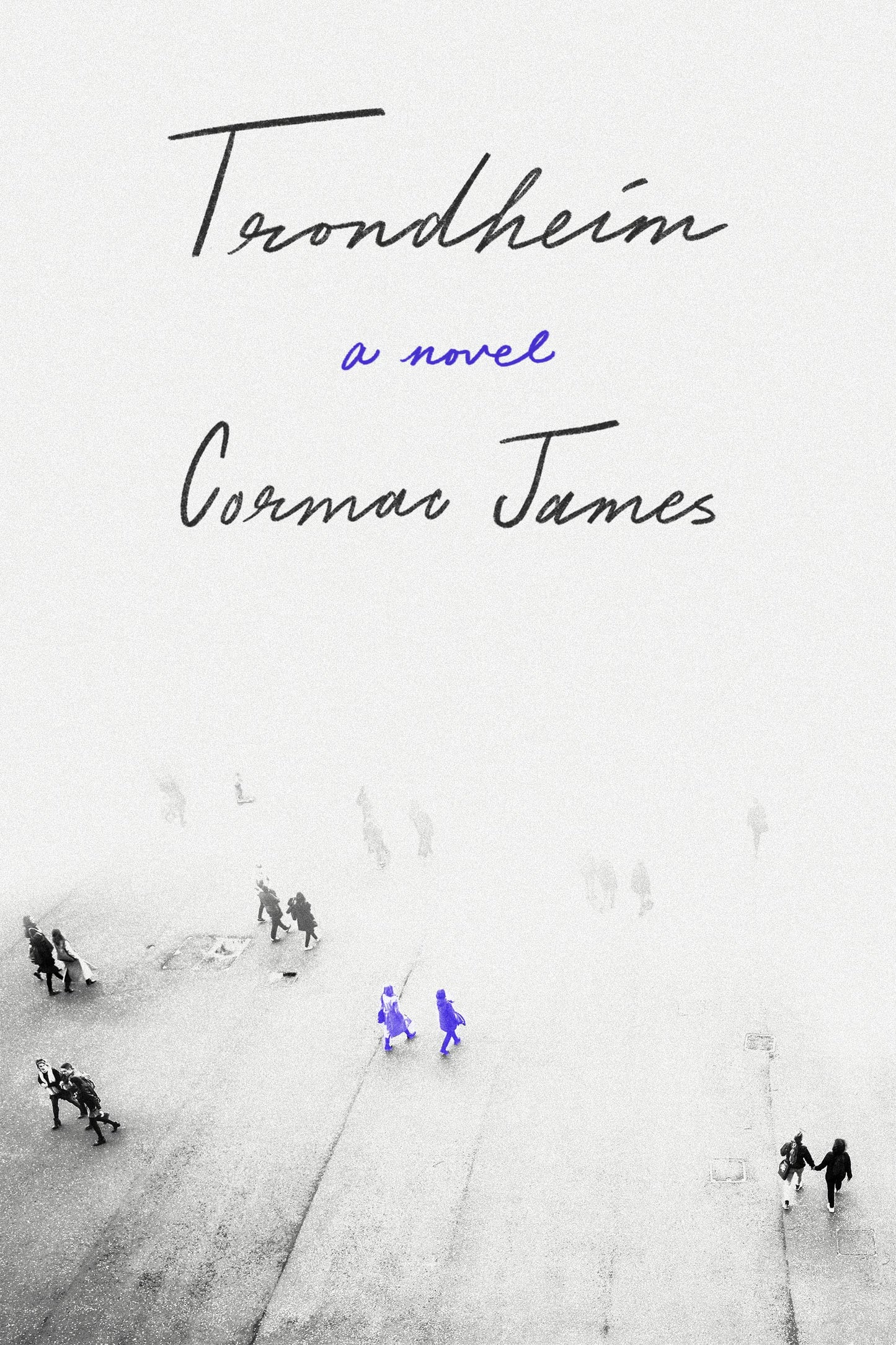 Trondheim book cover