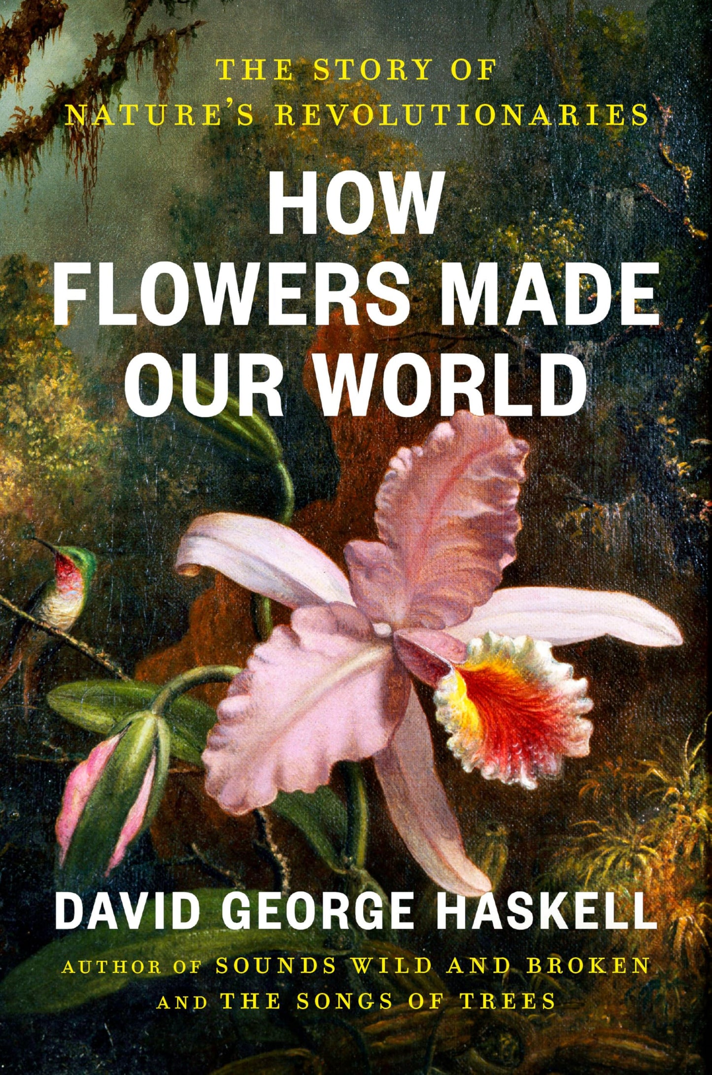 How Flowers Made Our World book cover