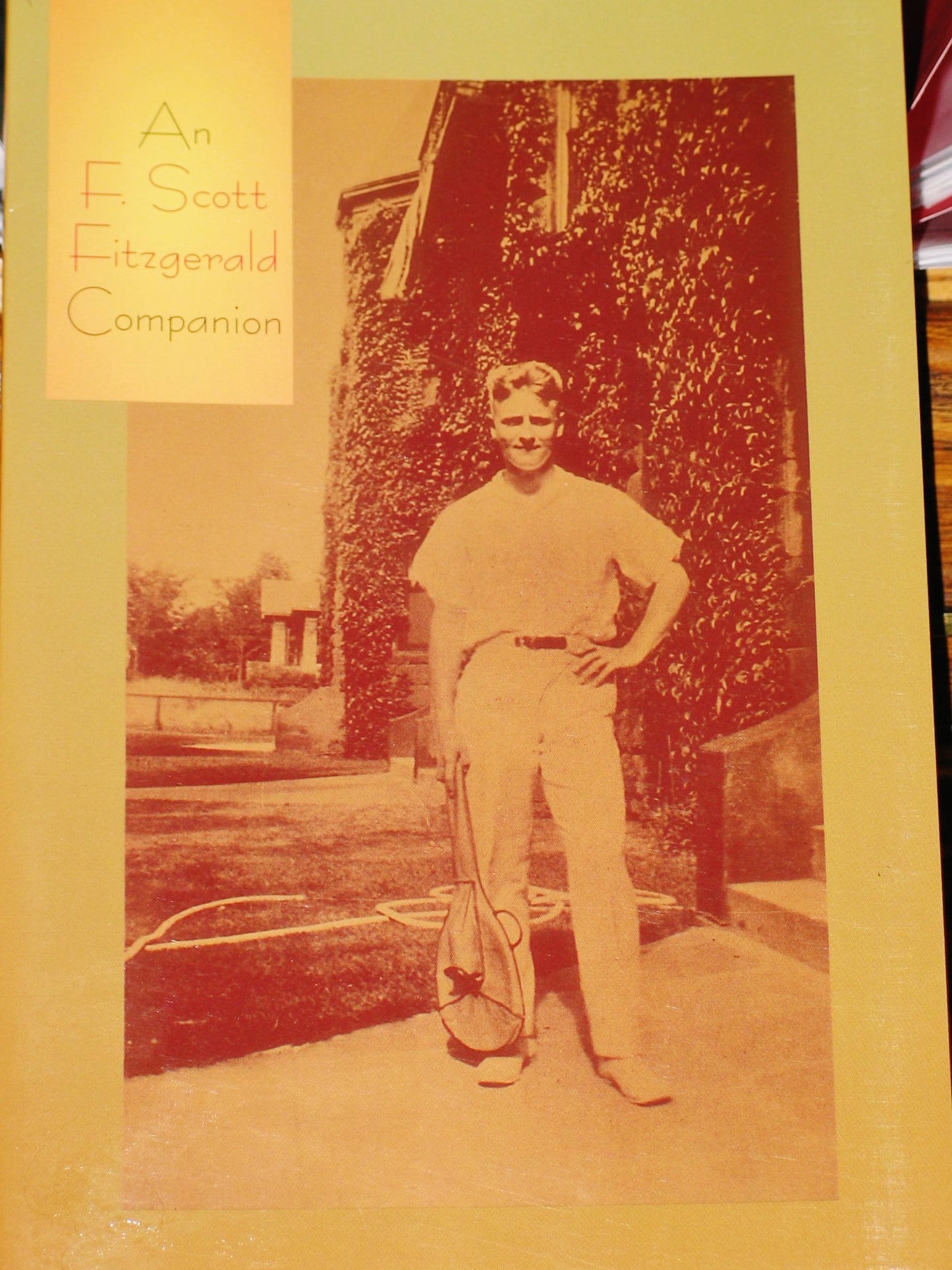 An F. Scott Fitzgerald Companion book cover