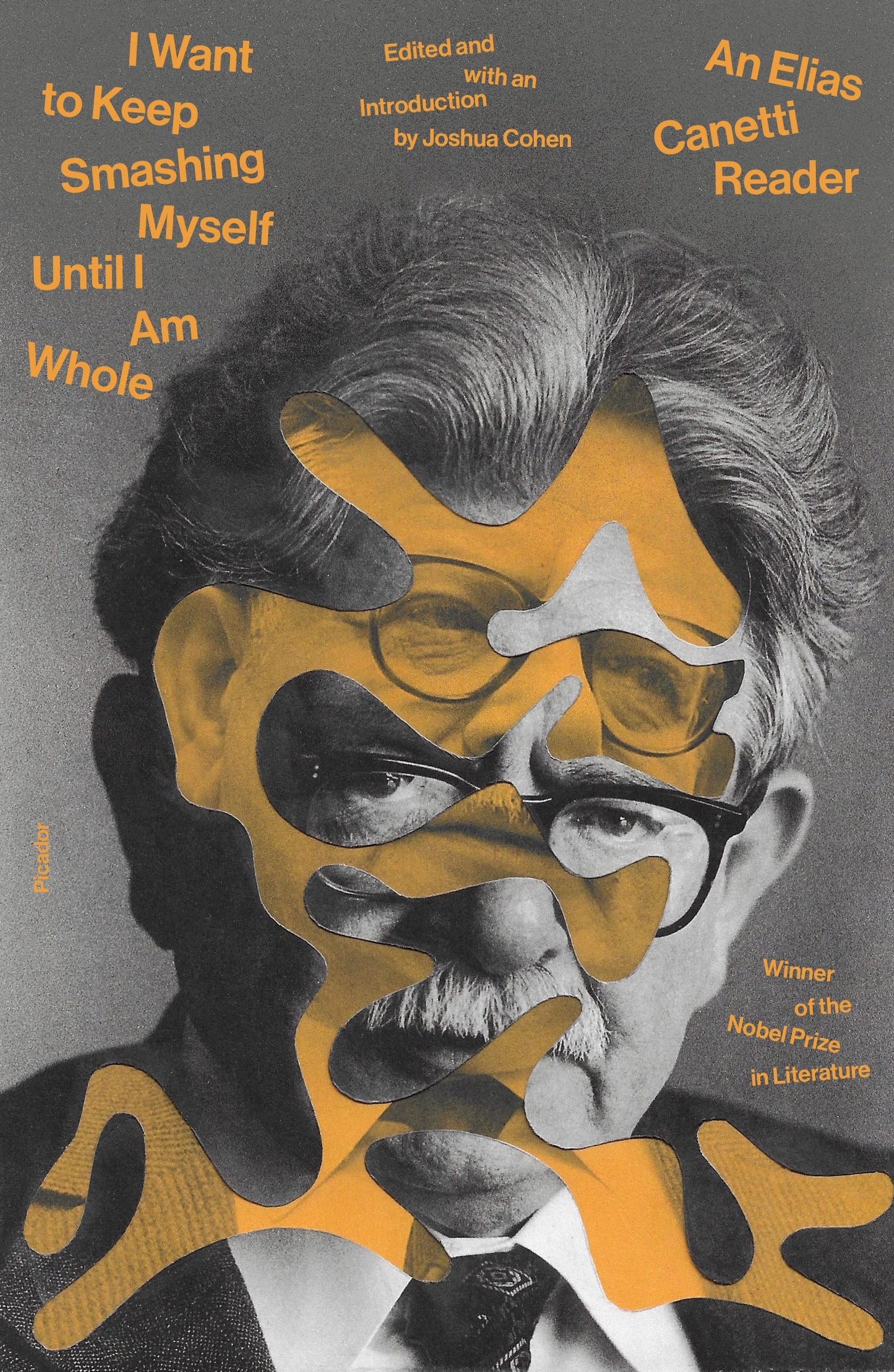 I Want to Keep Smashing Myself Until I Am Whole: An Elias Canetti Reader book cover