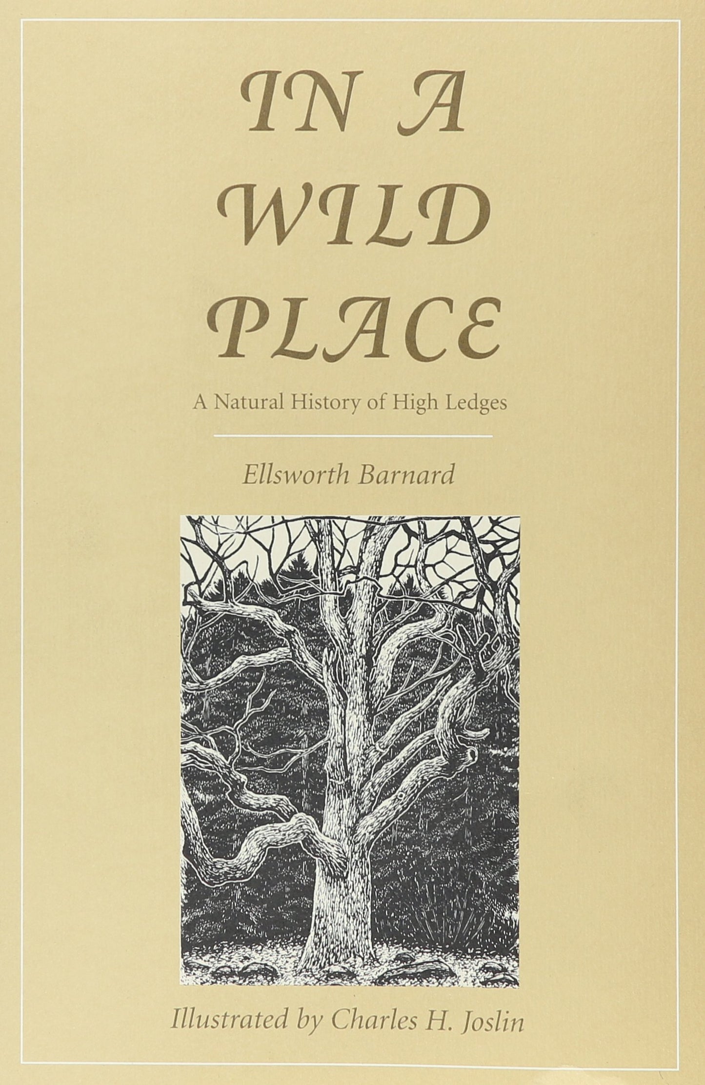 In a Wild Place: A Natural History of High Ledges book cover